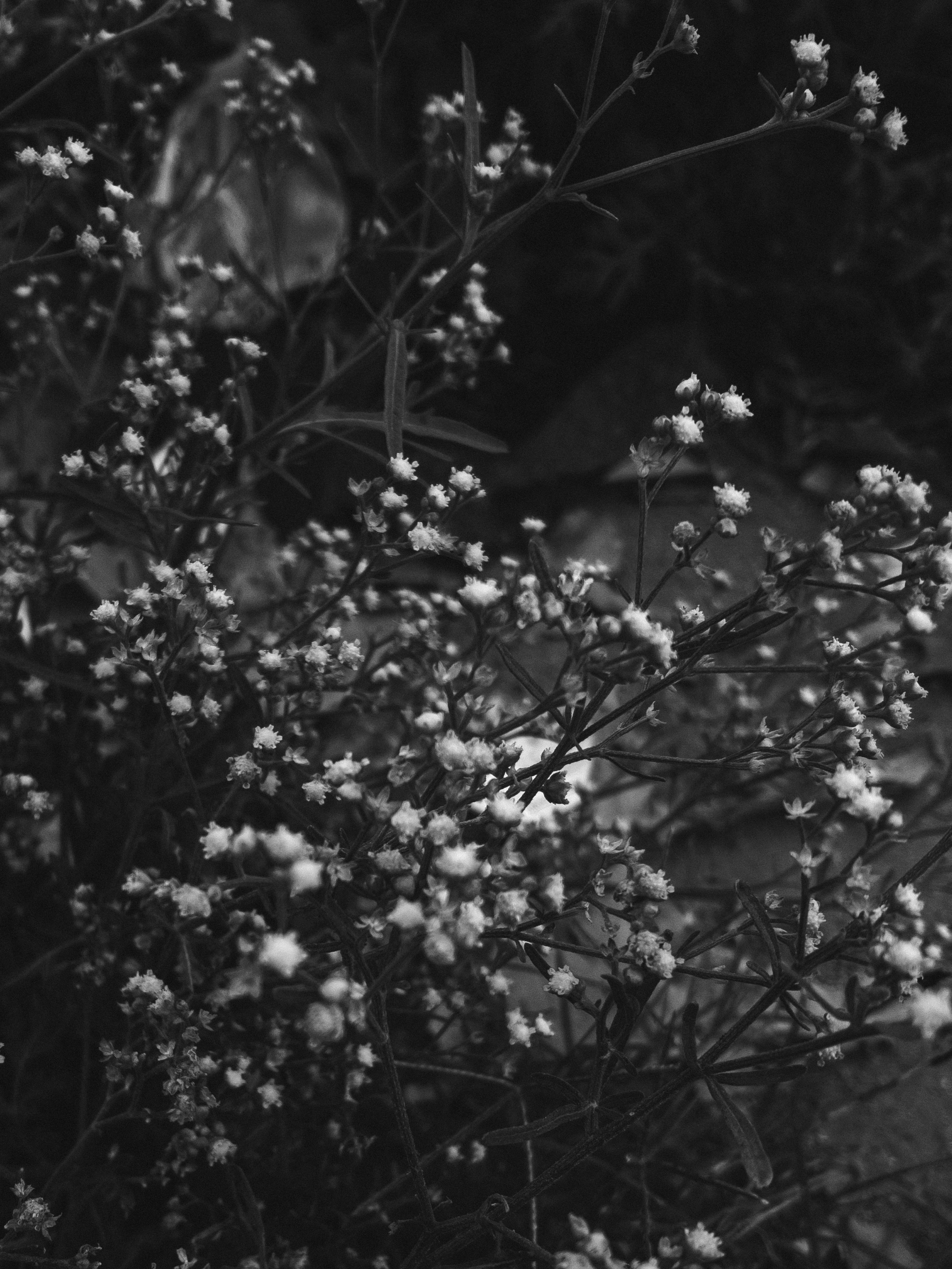 Photo by amritanshdubey