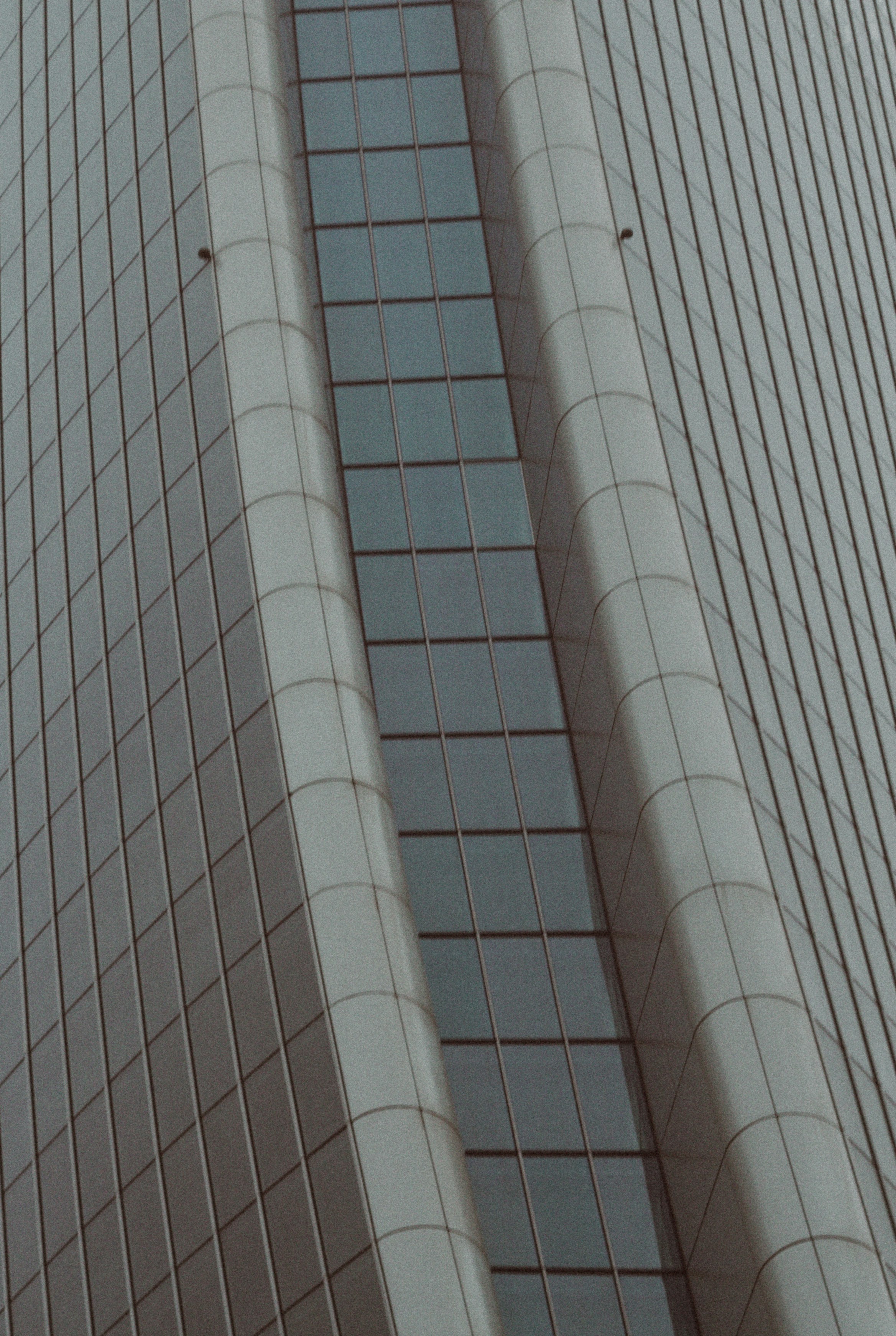 Photo by serenaclerio