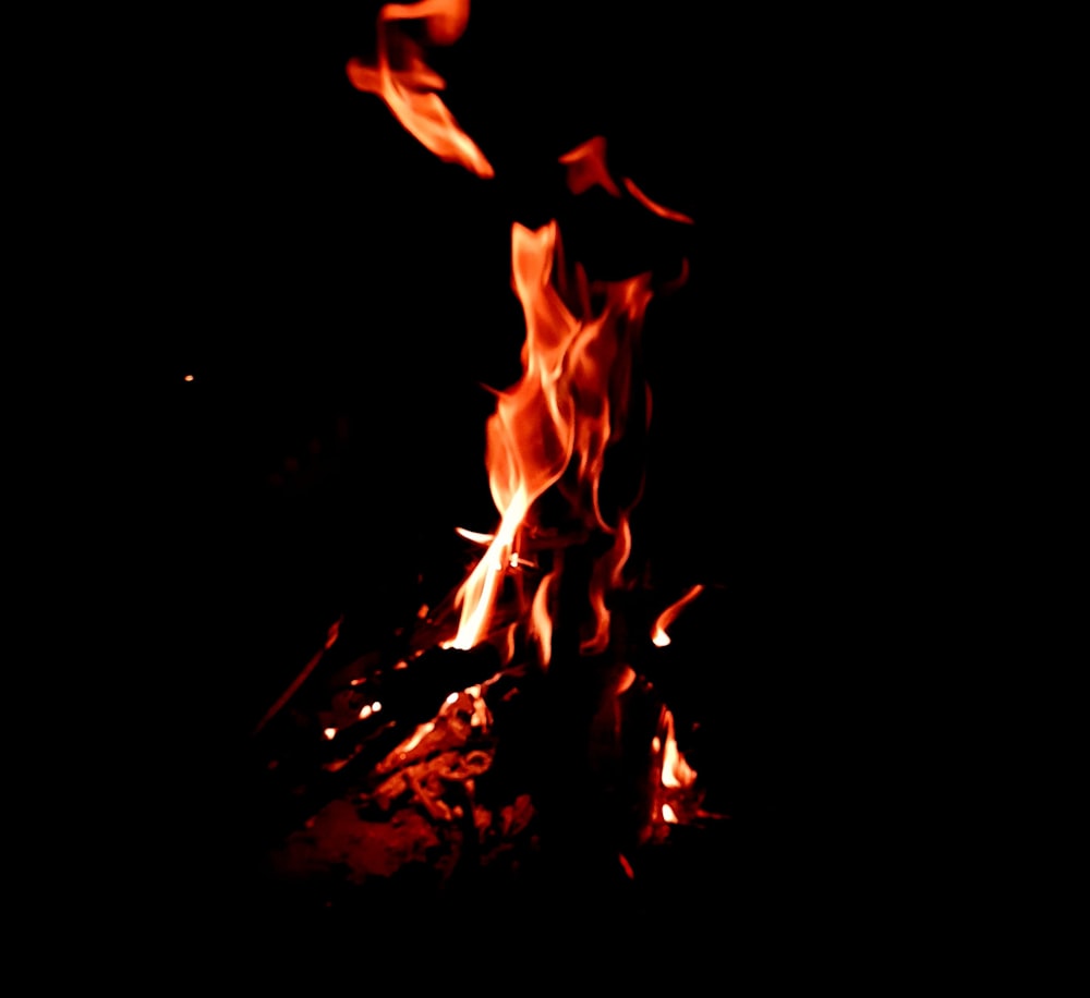 a close up of a fire in the dark