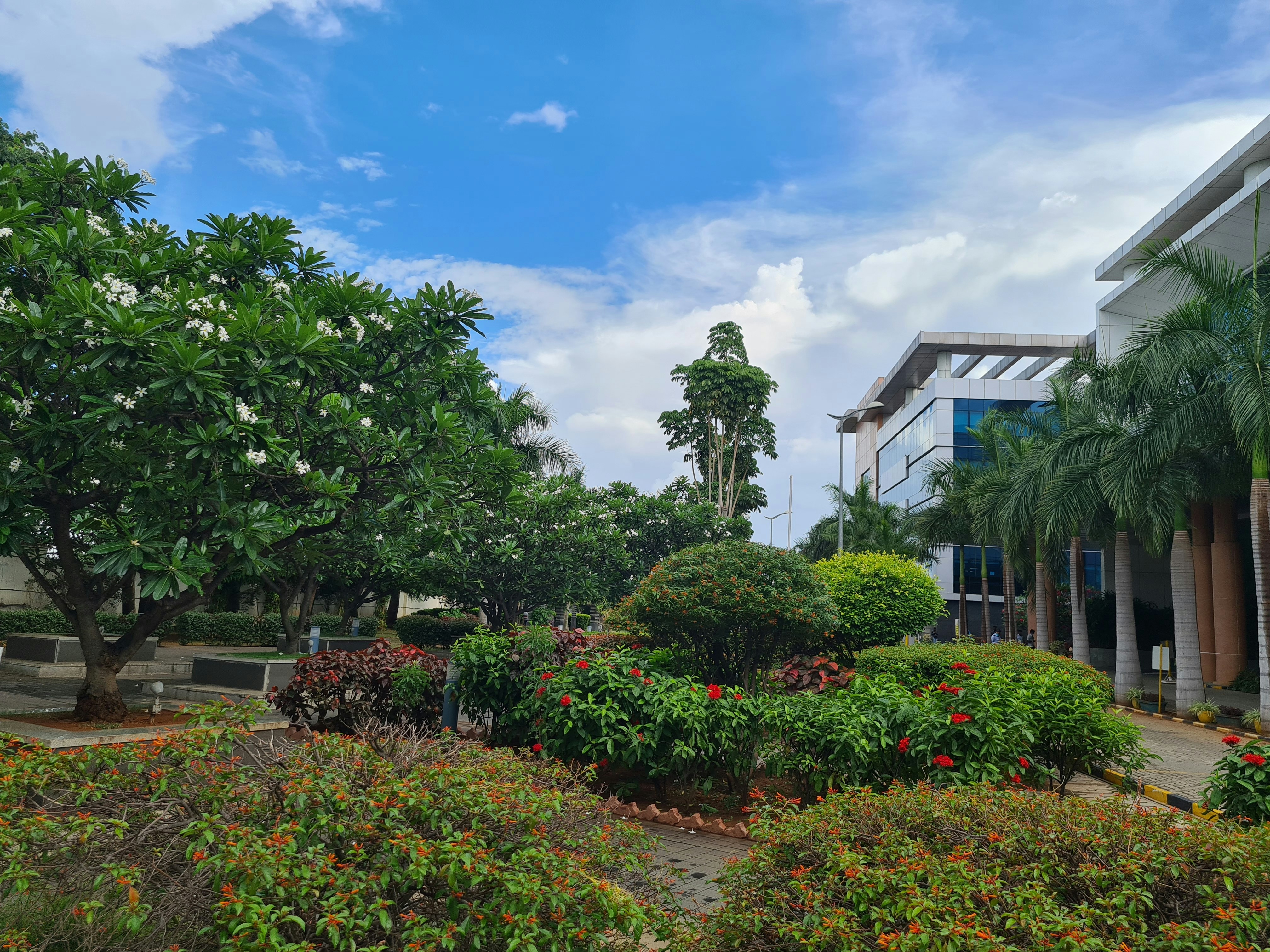 Photo by rk_photo_shots