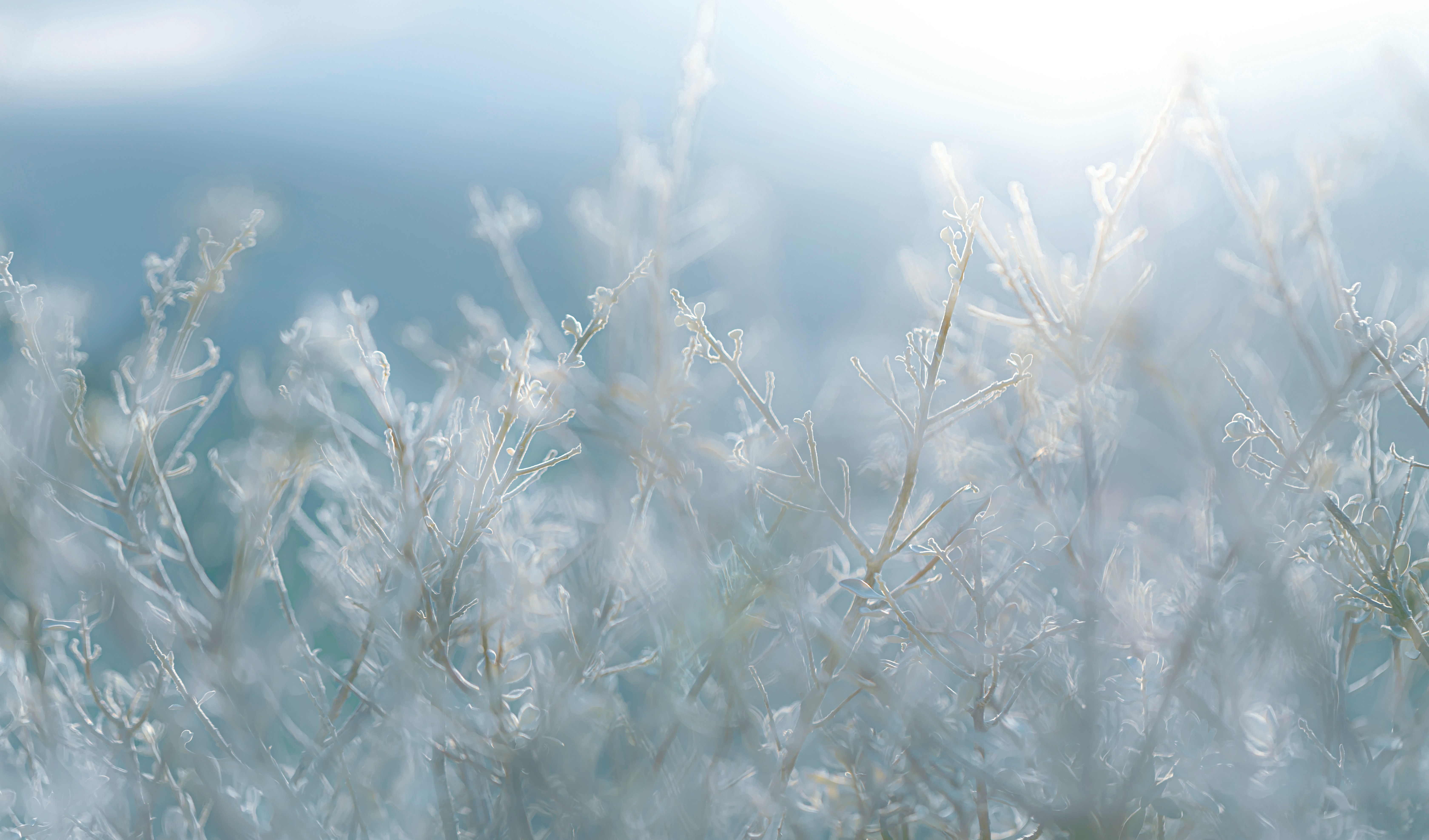 Photo by gabyfishmanfosbery