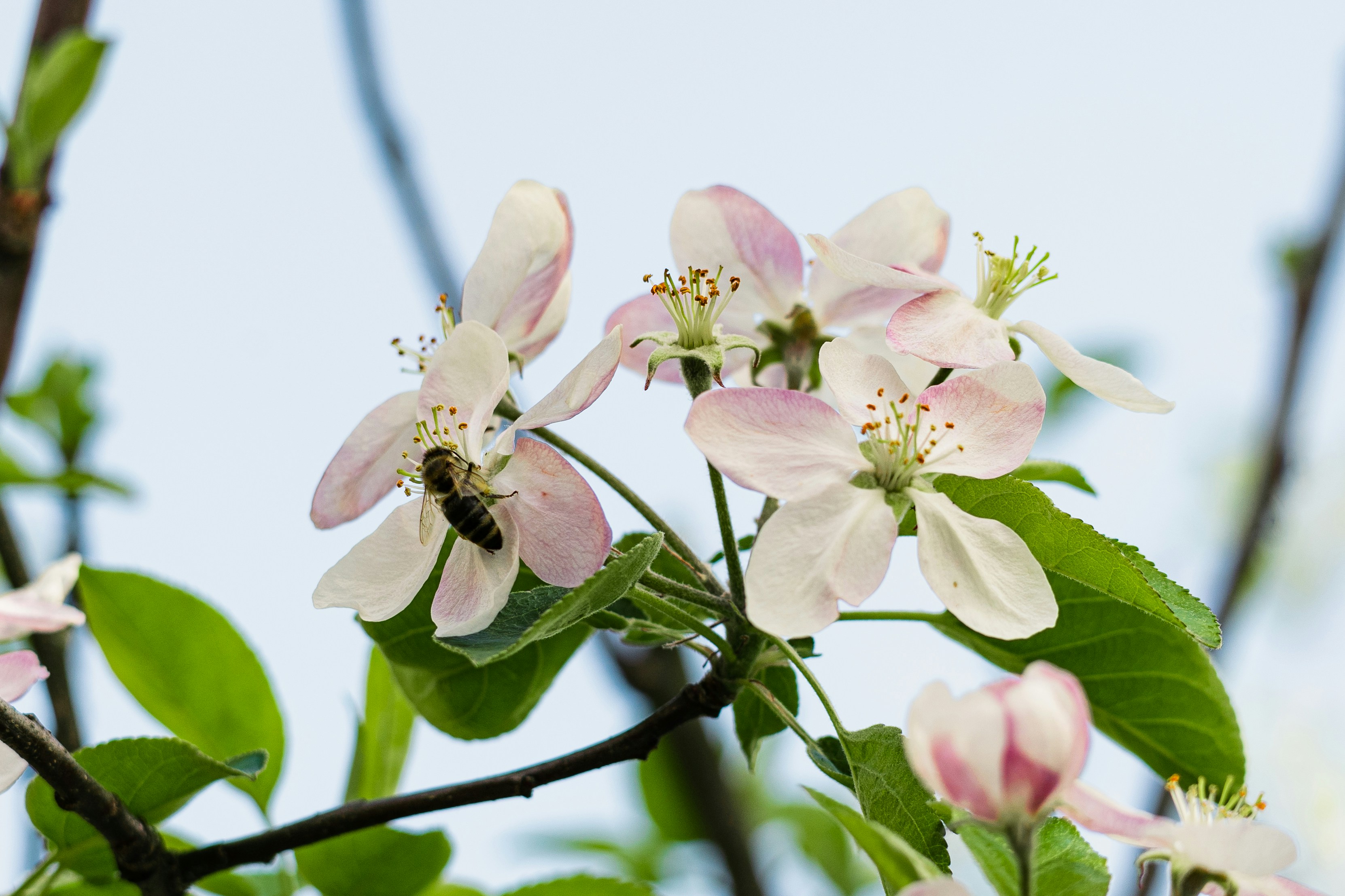 Photo by thestefankostic