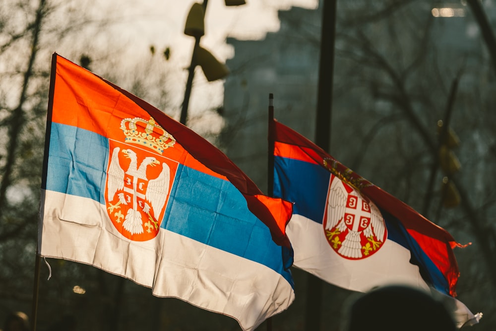 two flags with a coat of arms on them