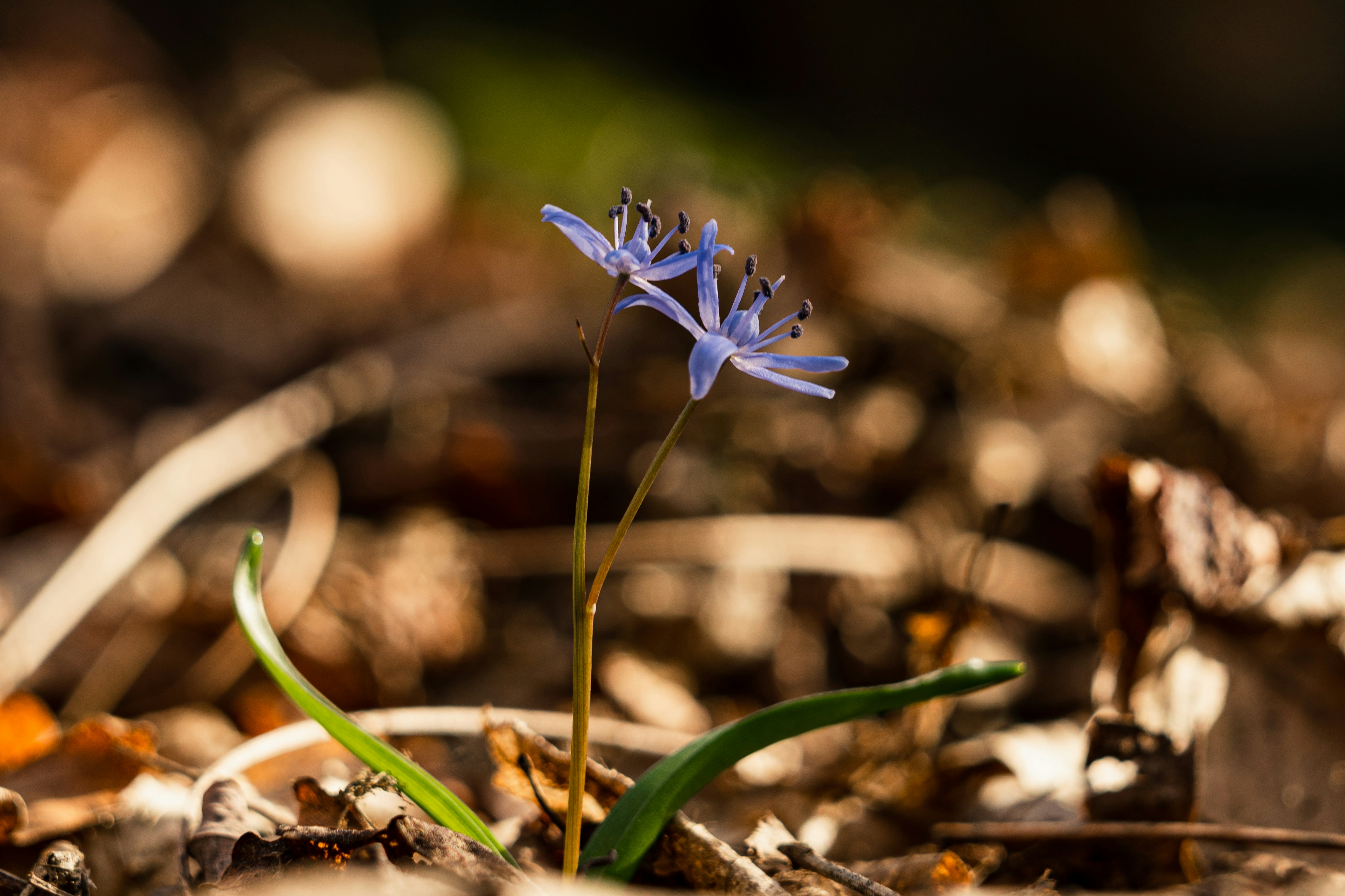 Photo by thestefankostic