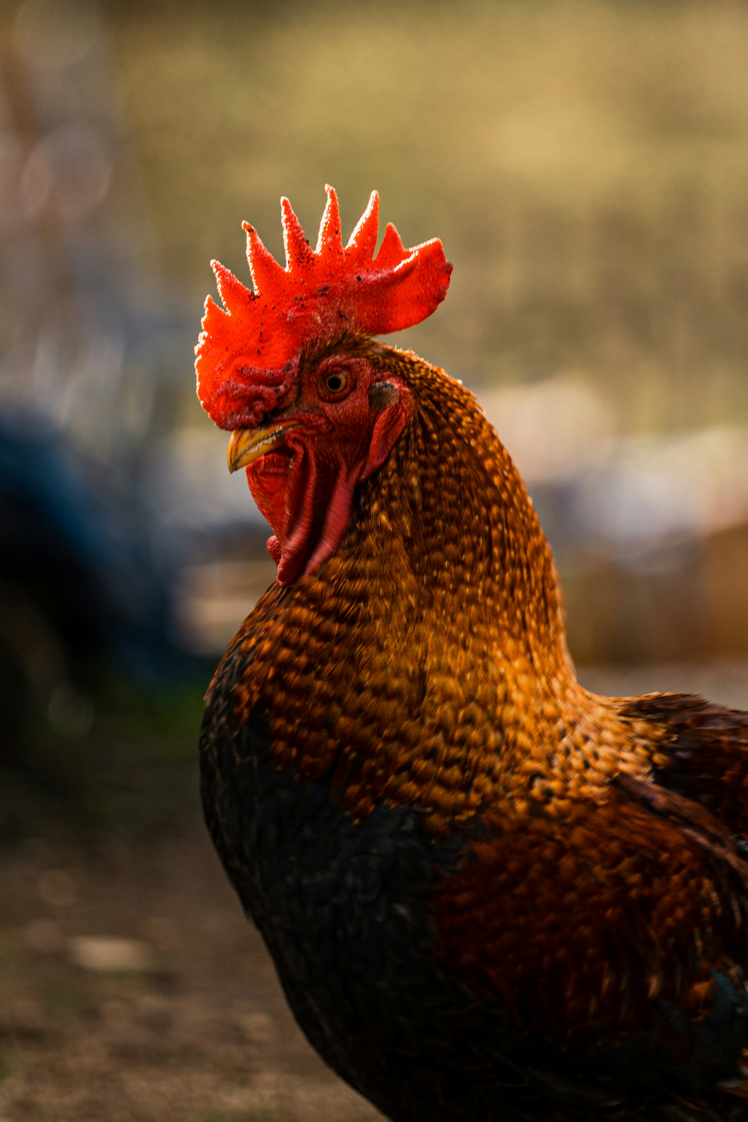 Photo by thestefankostic