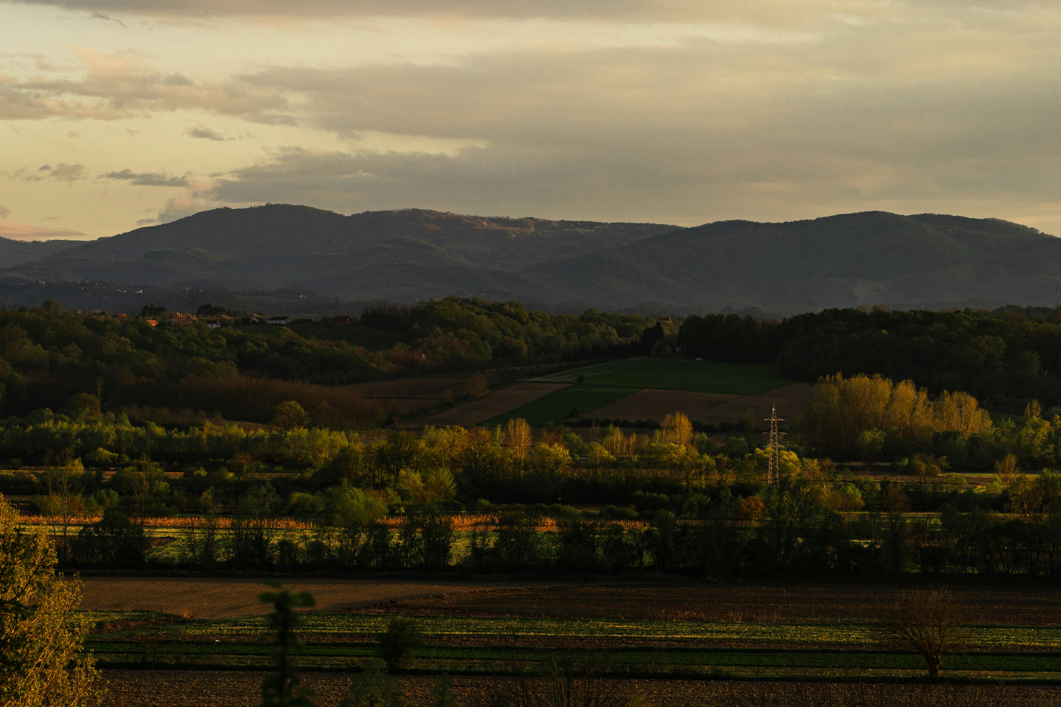 Photo by thestefankostic