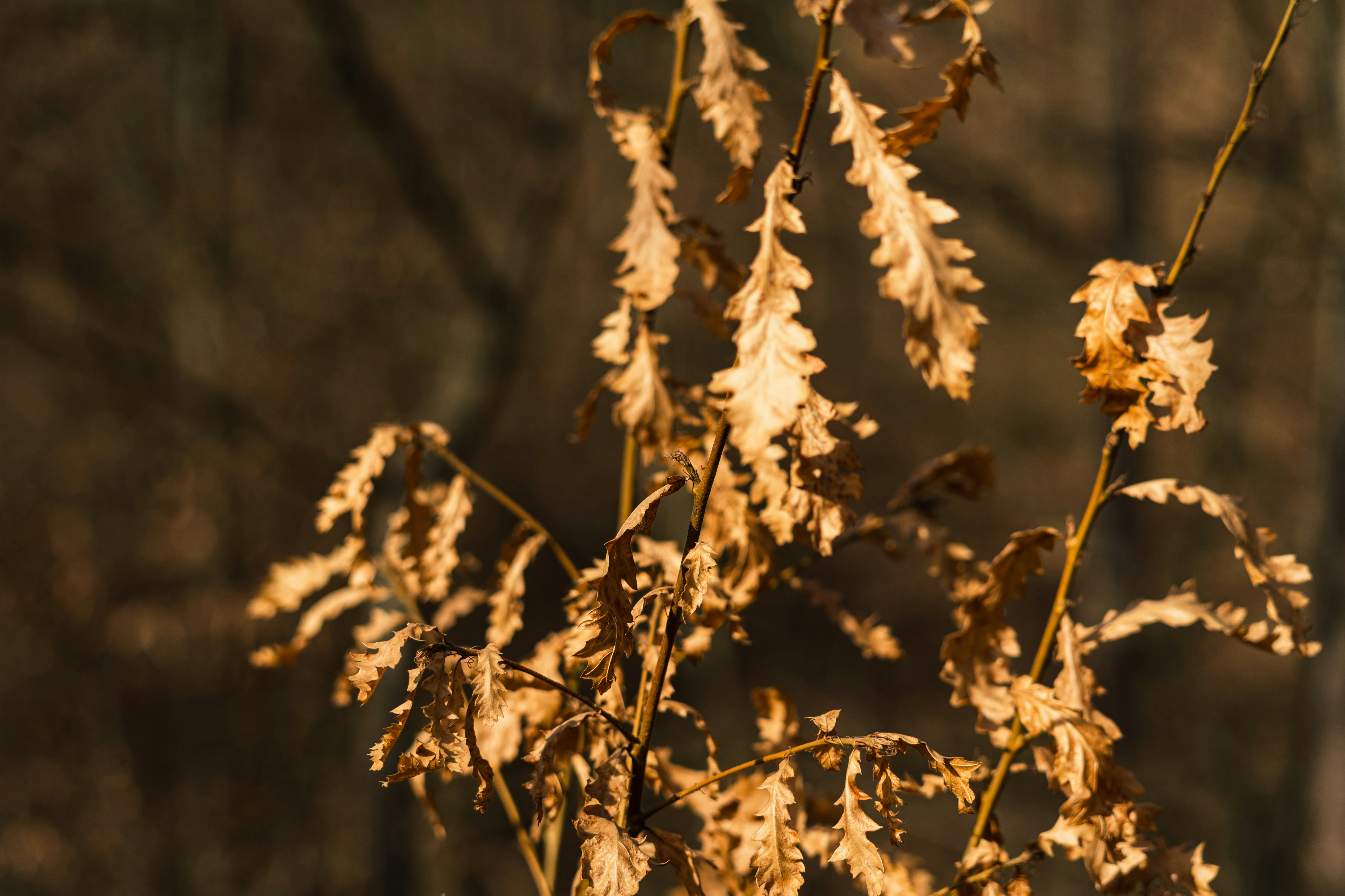 Photo by thestefankostic