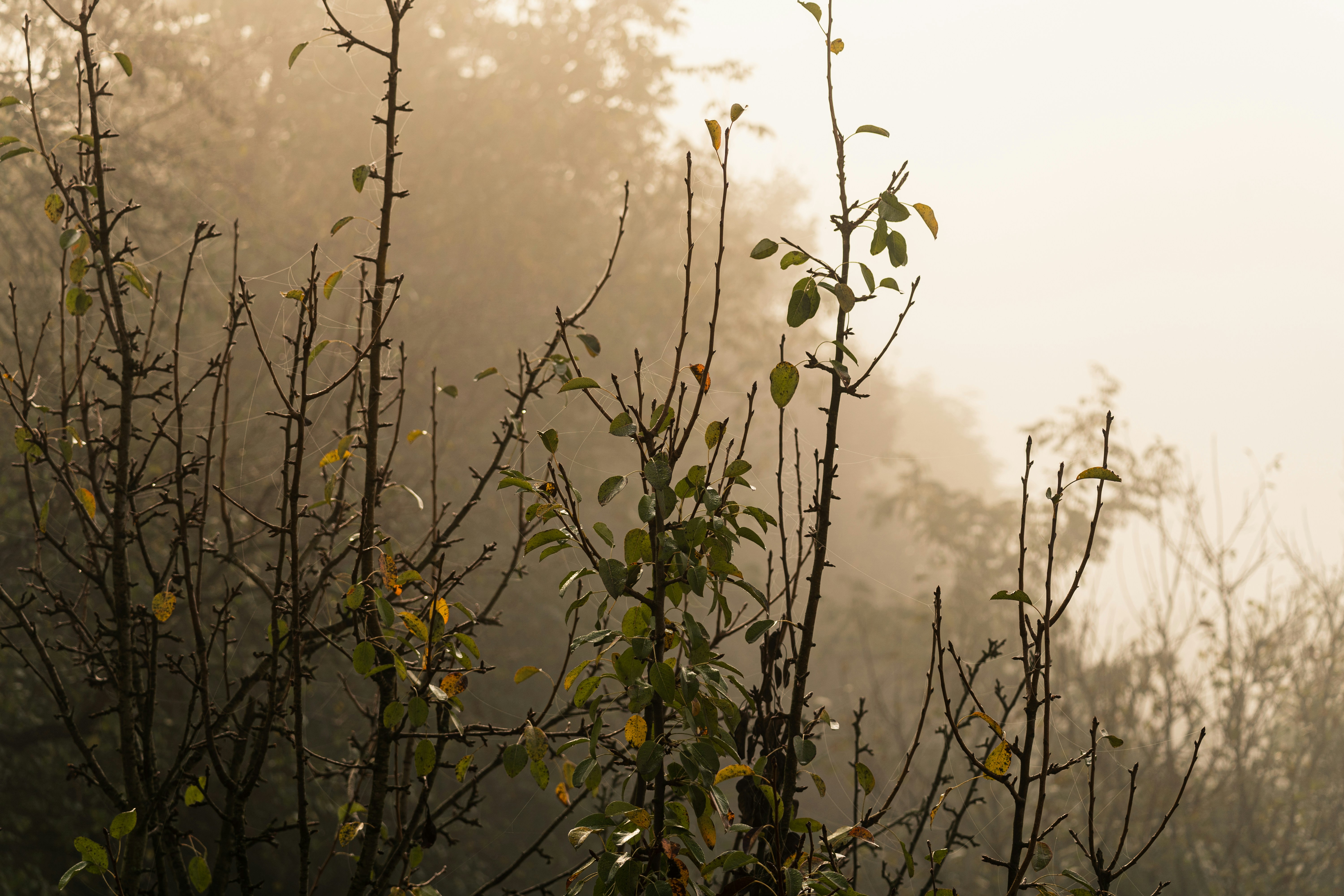 Photo by thestefankostic