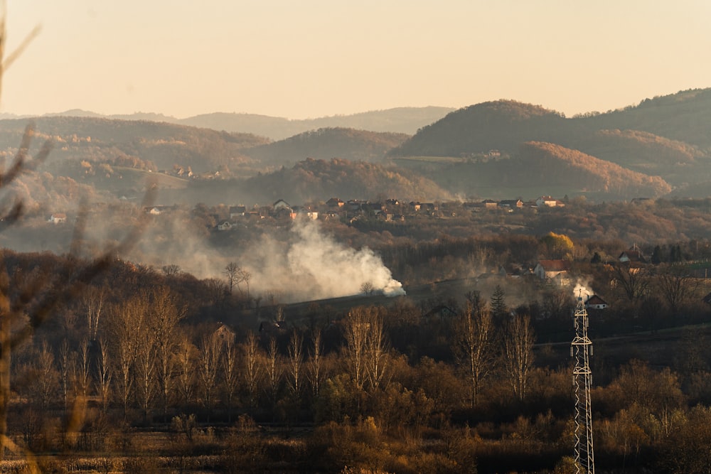 smoke coming out of a chimney in the middle of a forest