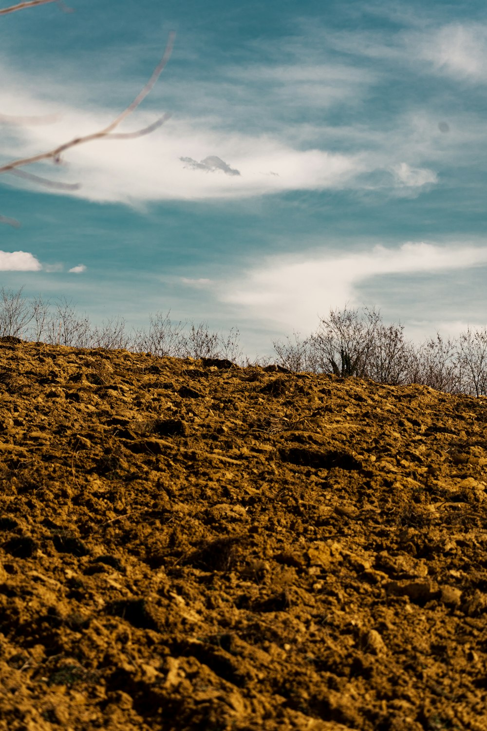 a person flying a kite on top of a hill