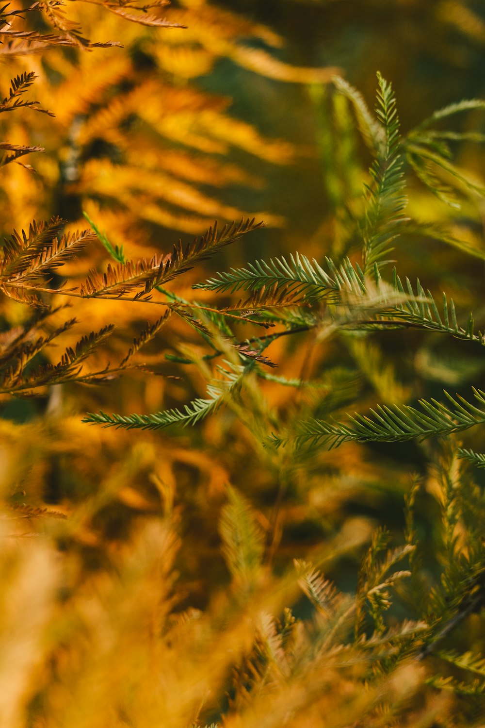 a bird is perched on a branch of a tree