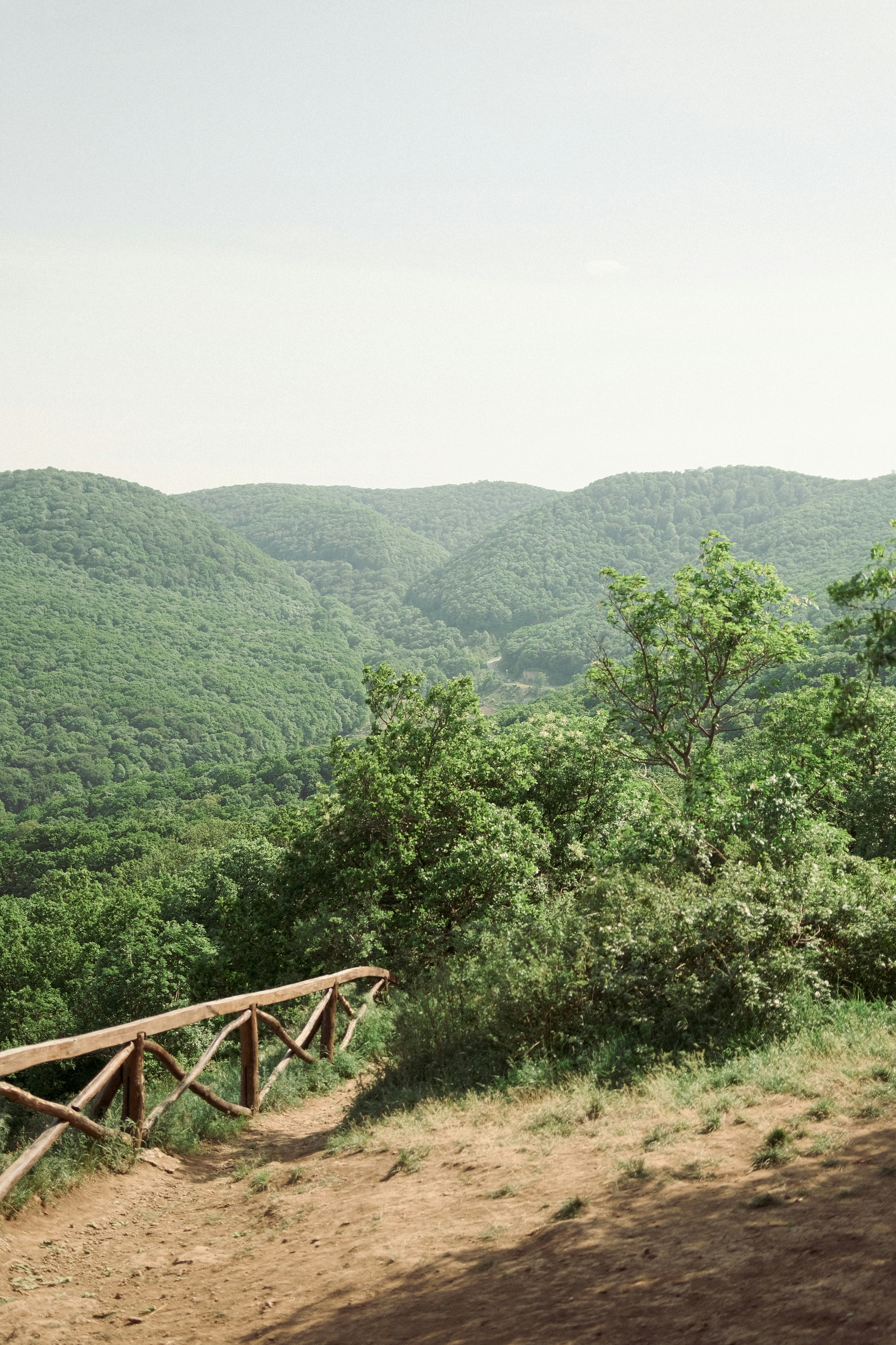 Photo by antonshutnik