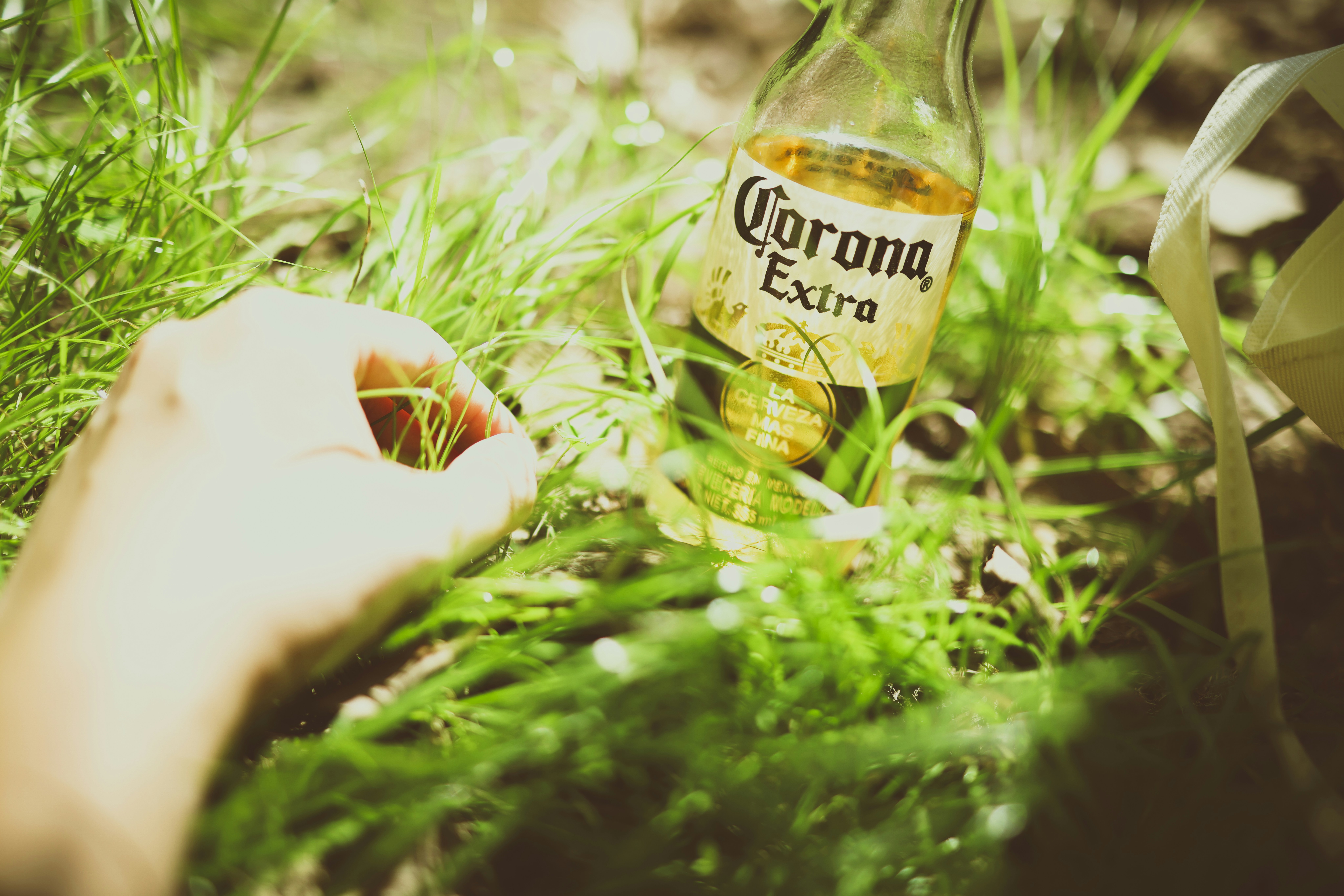 Tastea