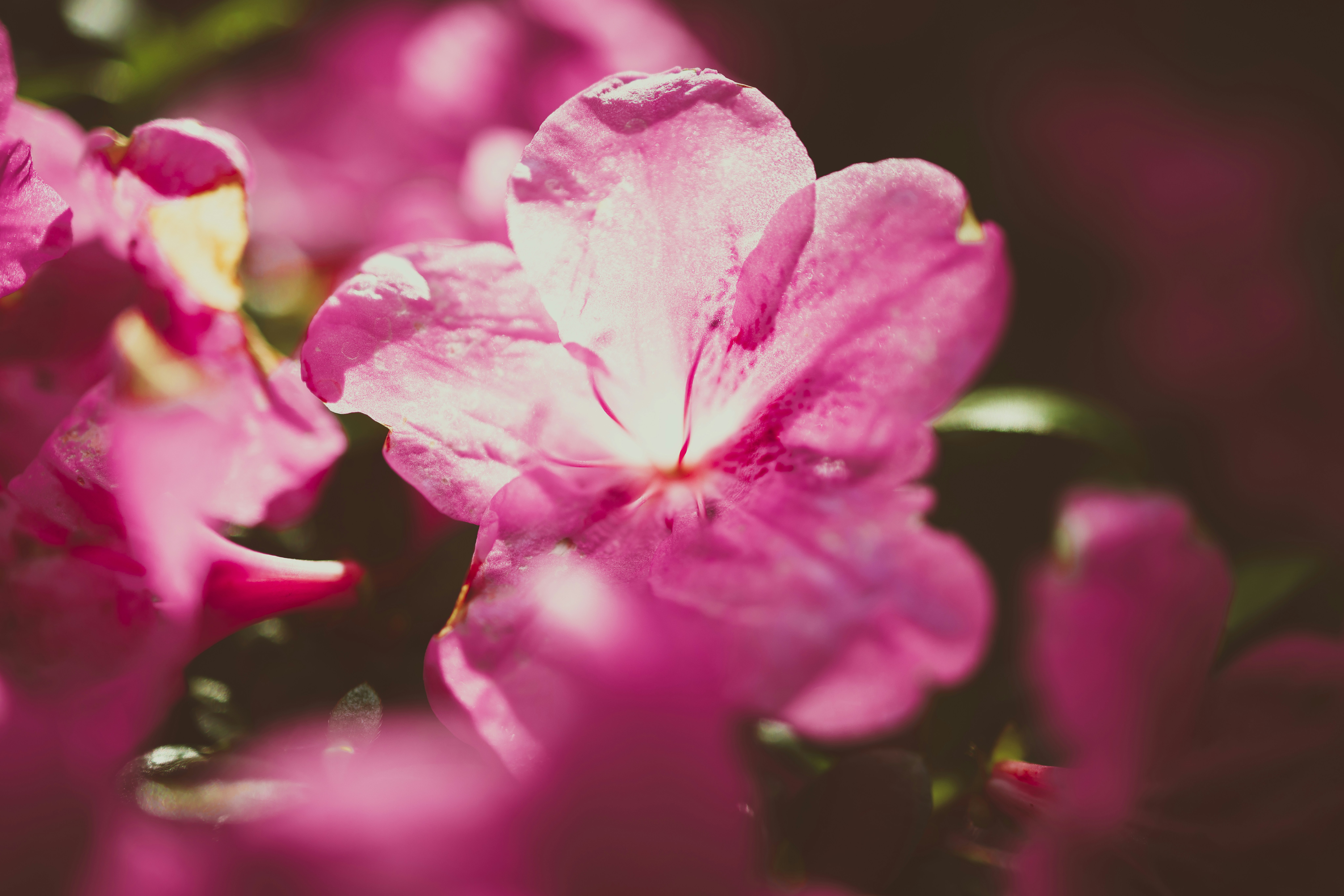 Photo by arttoinspire