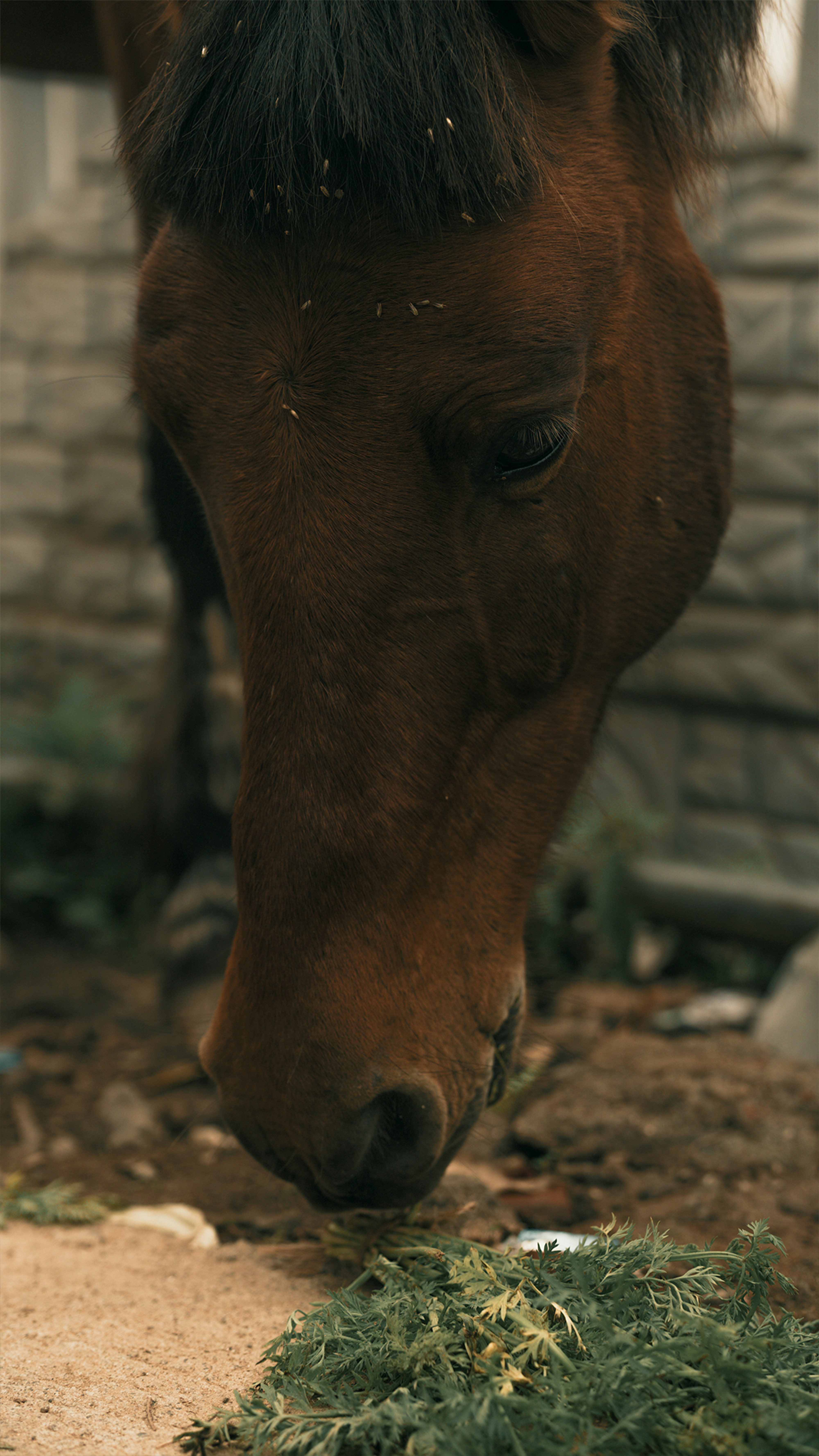 Photo by nanduvasudevan