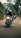 A group of motorcyclists riding down a tree-lined road, with the lead rider showing a peace sign. The backdrop includes blurred trees and overcast skies, creating a sense of movement and camaraderie.