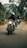 A group of motorcyclists riding down a tree-lined road, with the lead rider showing a peace sign. The backdrop includes blurred trees and overcast skies, creating a sense of movement and camaraderie.