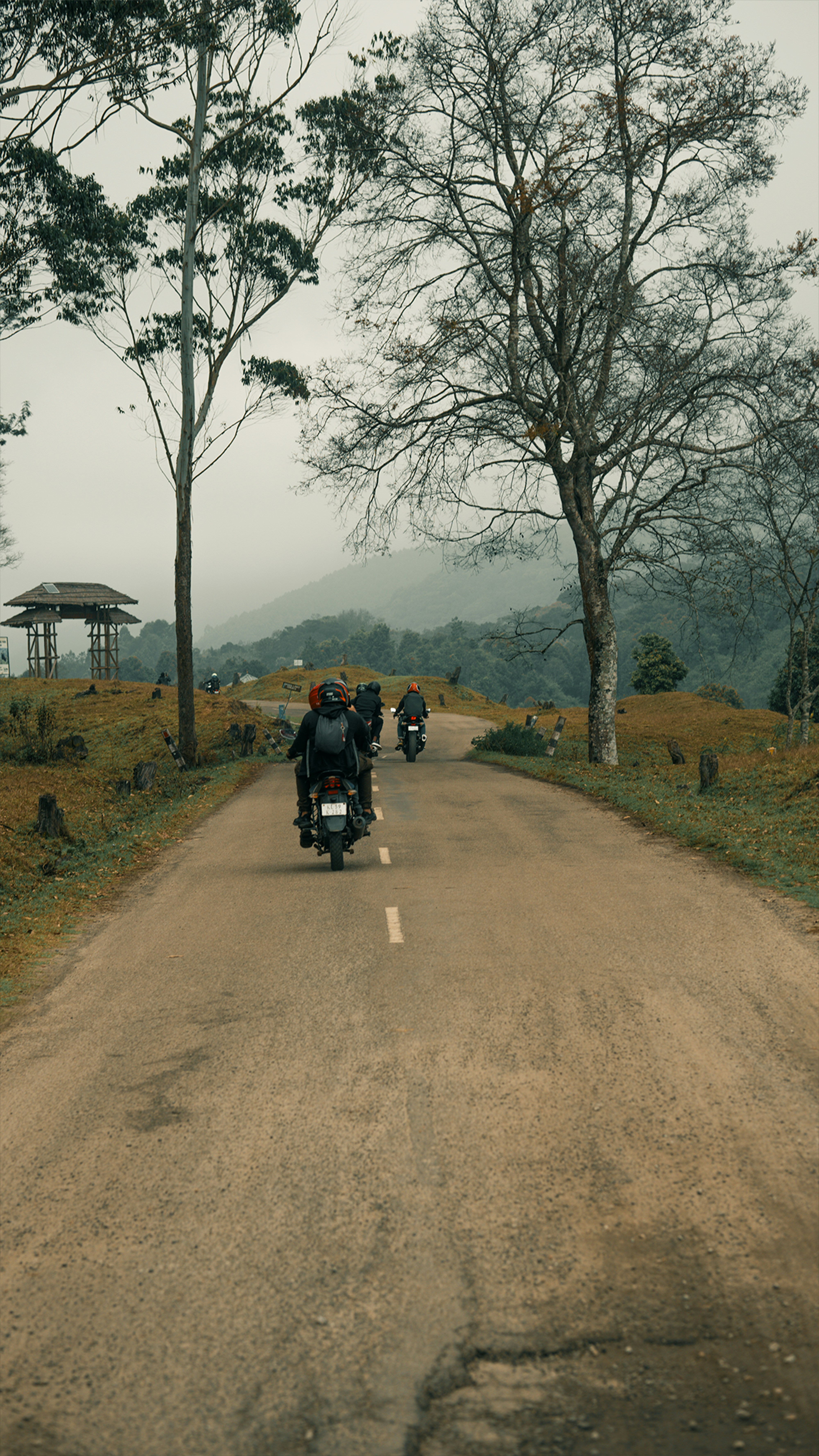 Photo by nanduvasudevan