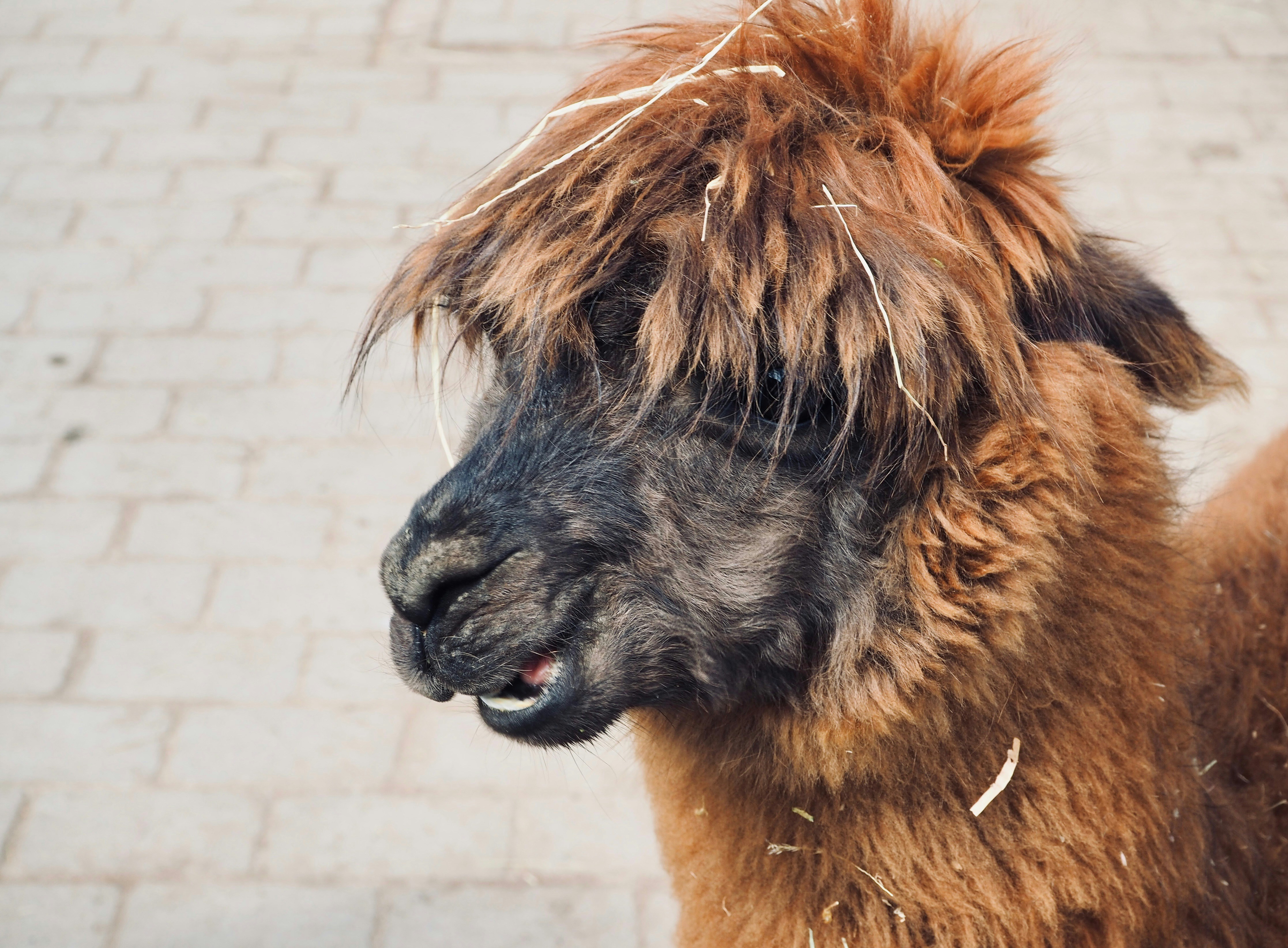 Photo by caroline_2603