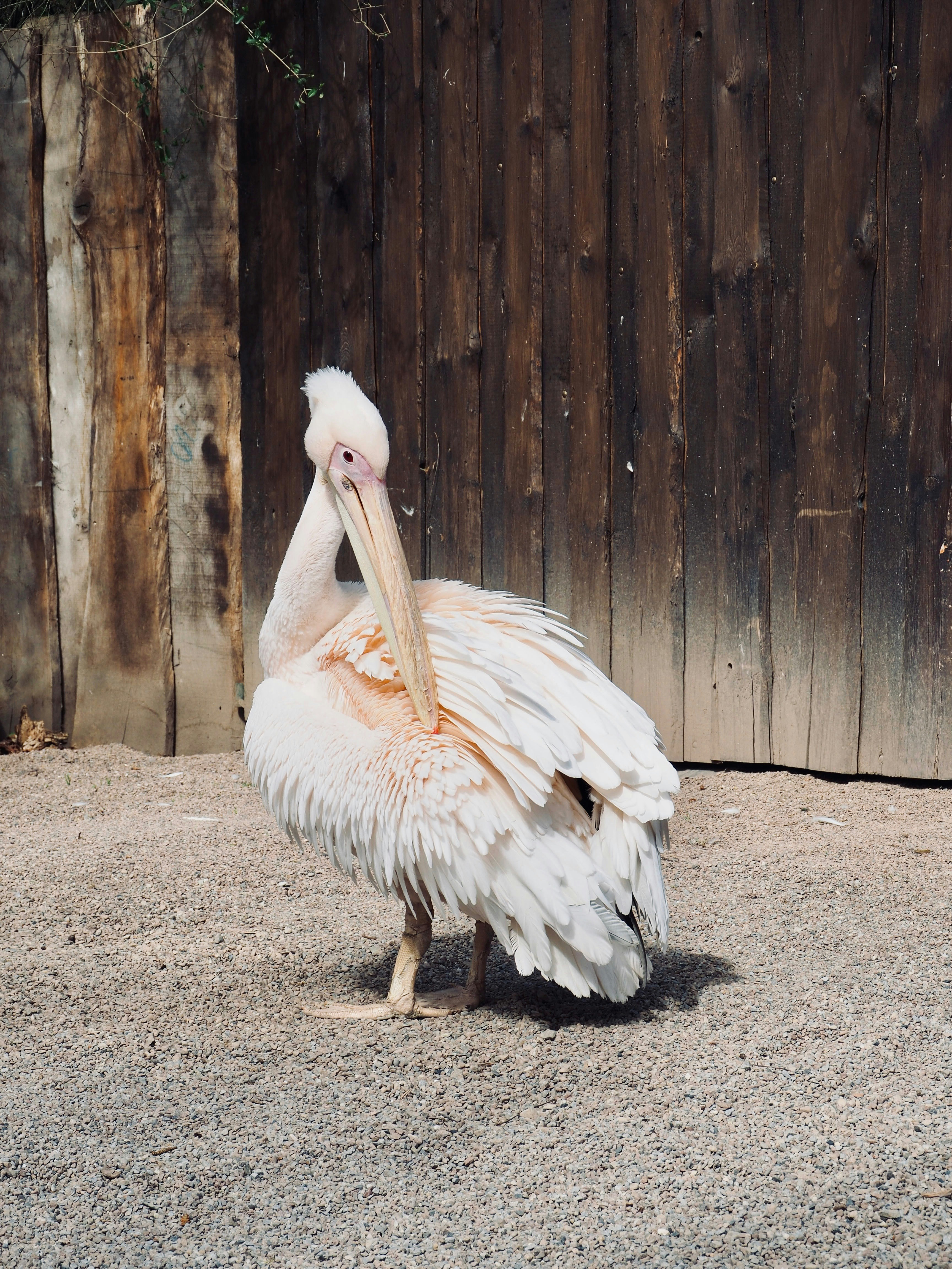 Photo by caroline_2603