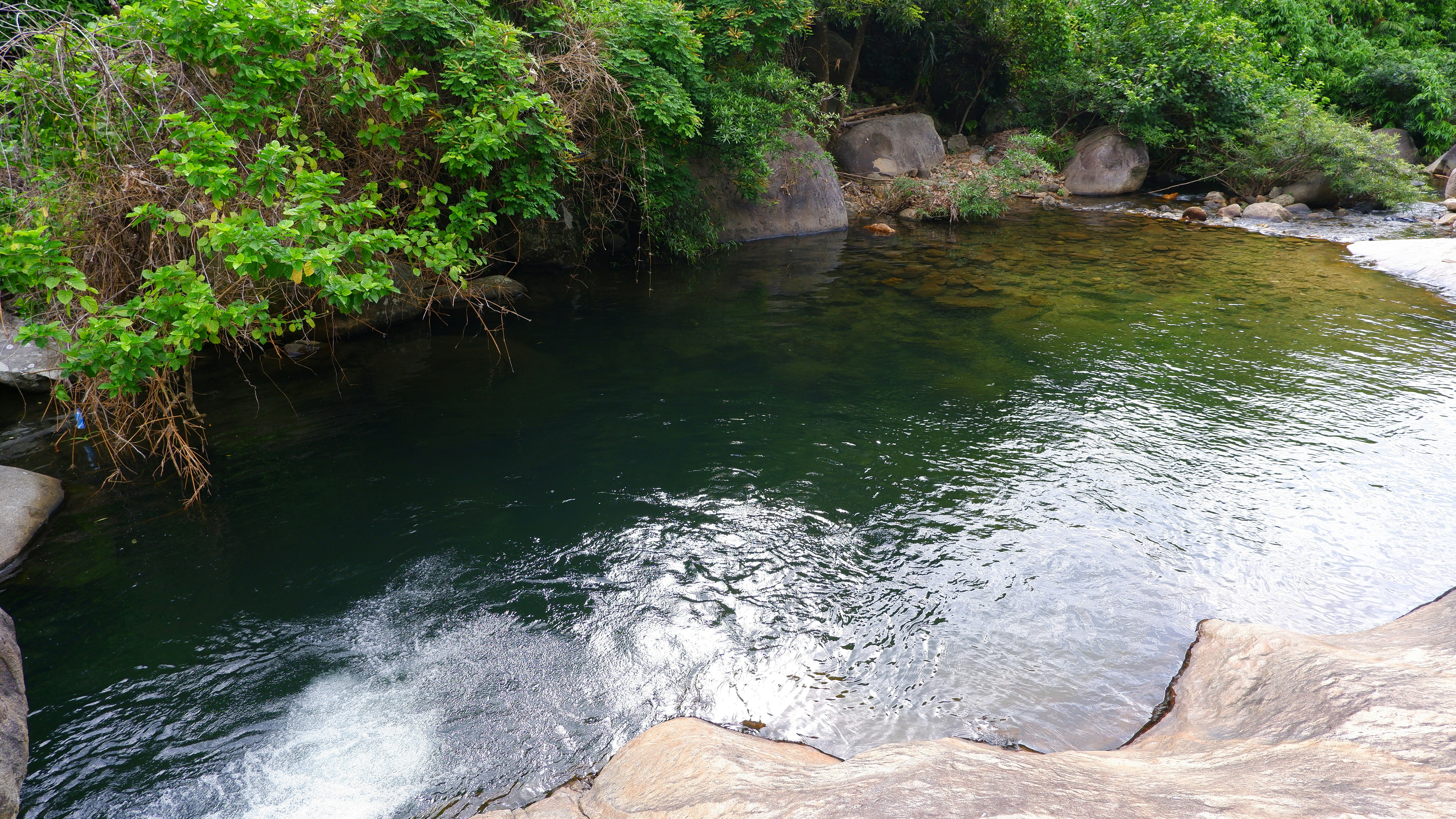 Photo by dvhoang2106