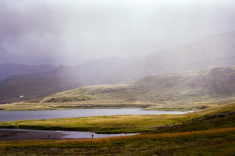 a person standing in a field next to a body of water