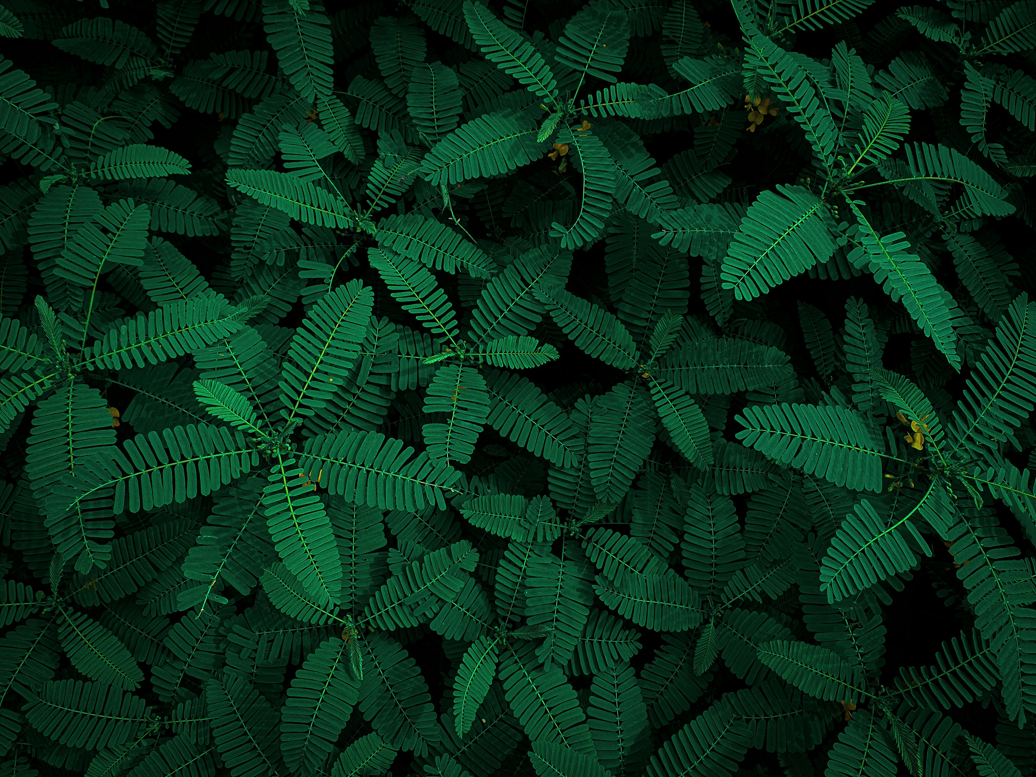 Photo by rk_photo_shots