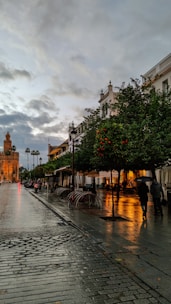 a wet street with people walking on it