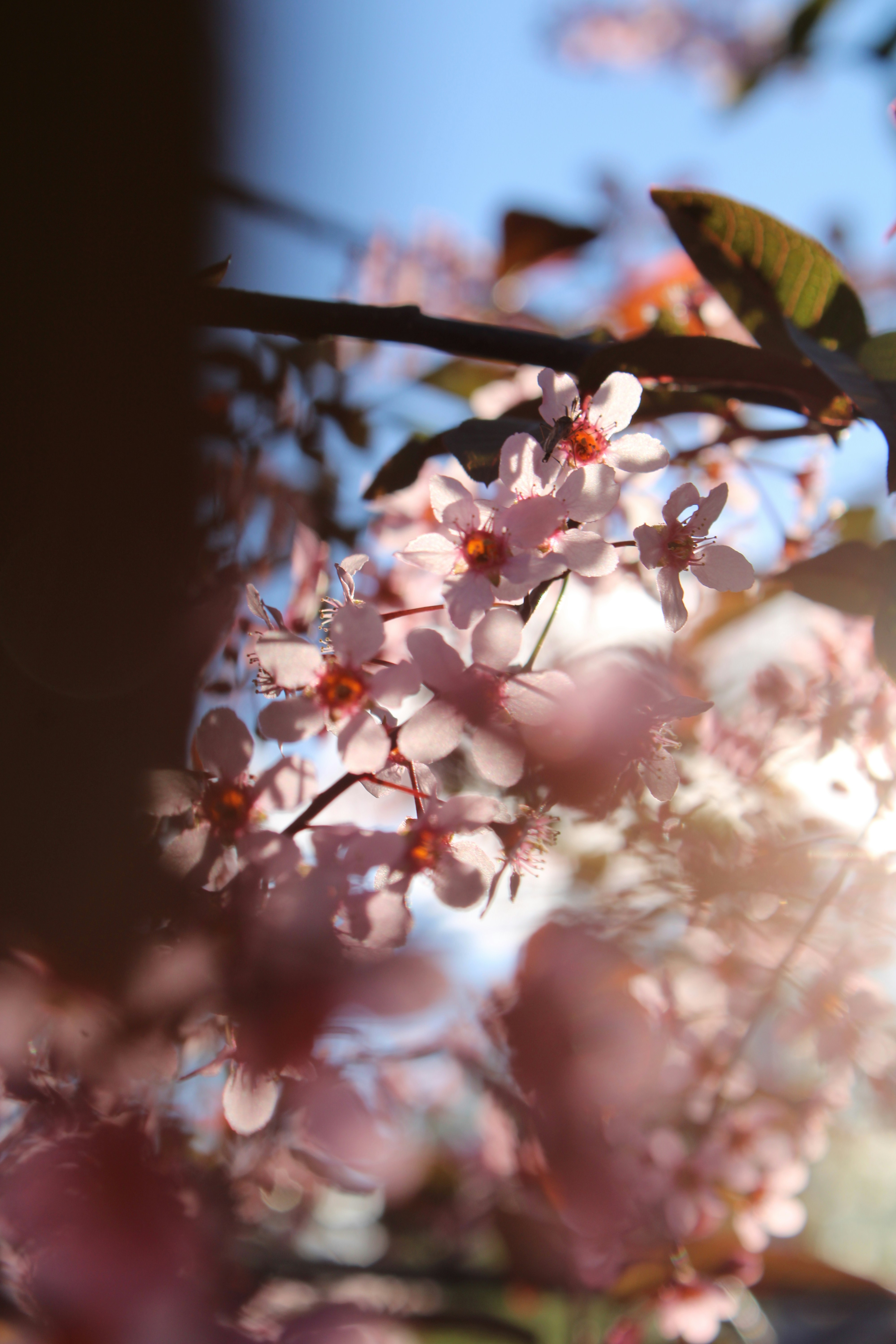 Photo by fedorovaliza