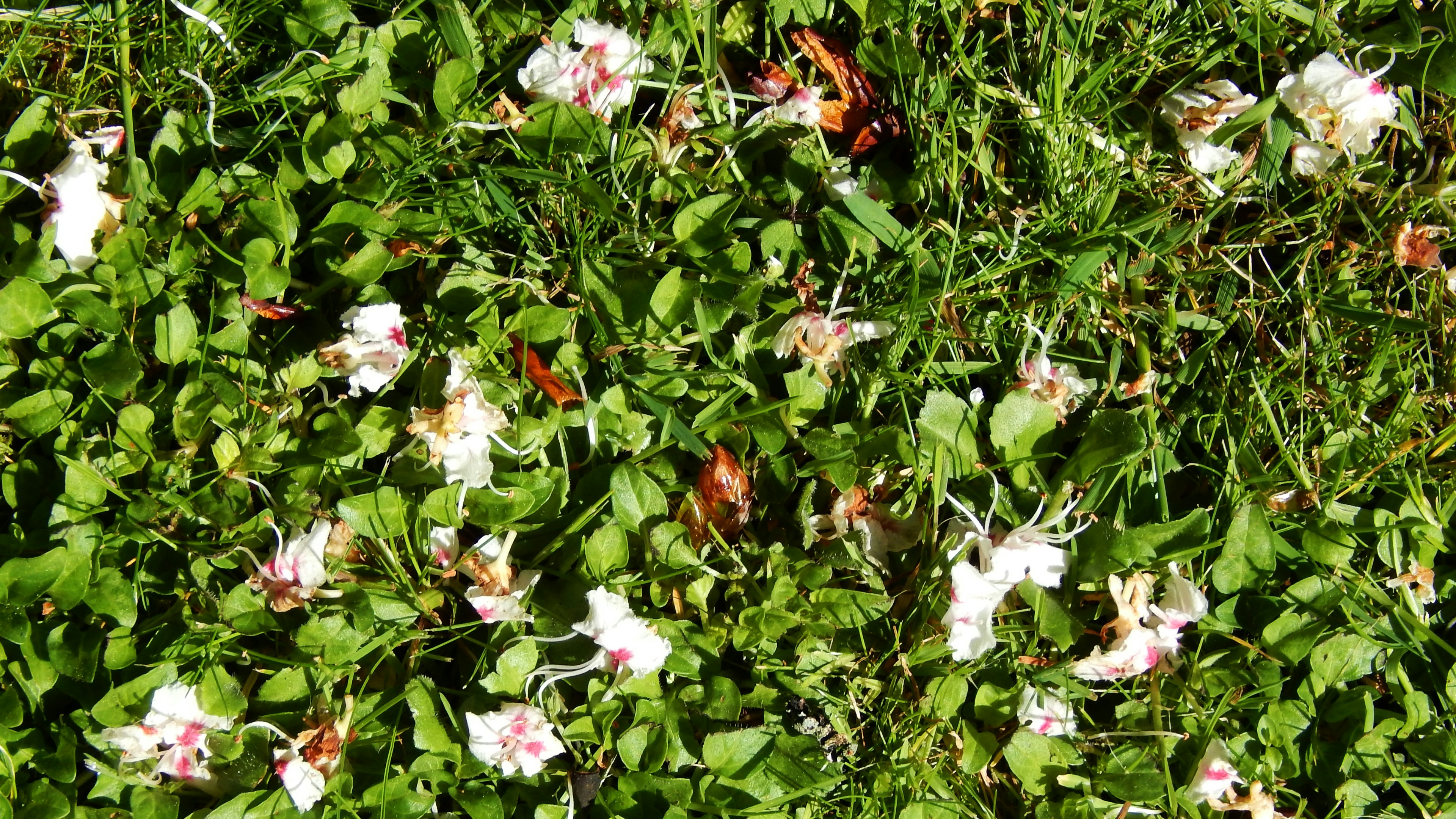 Photo by hullabaloo22