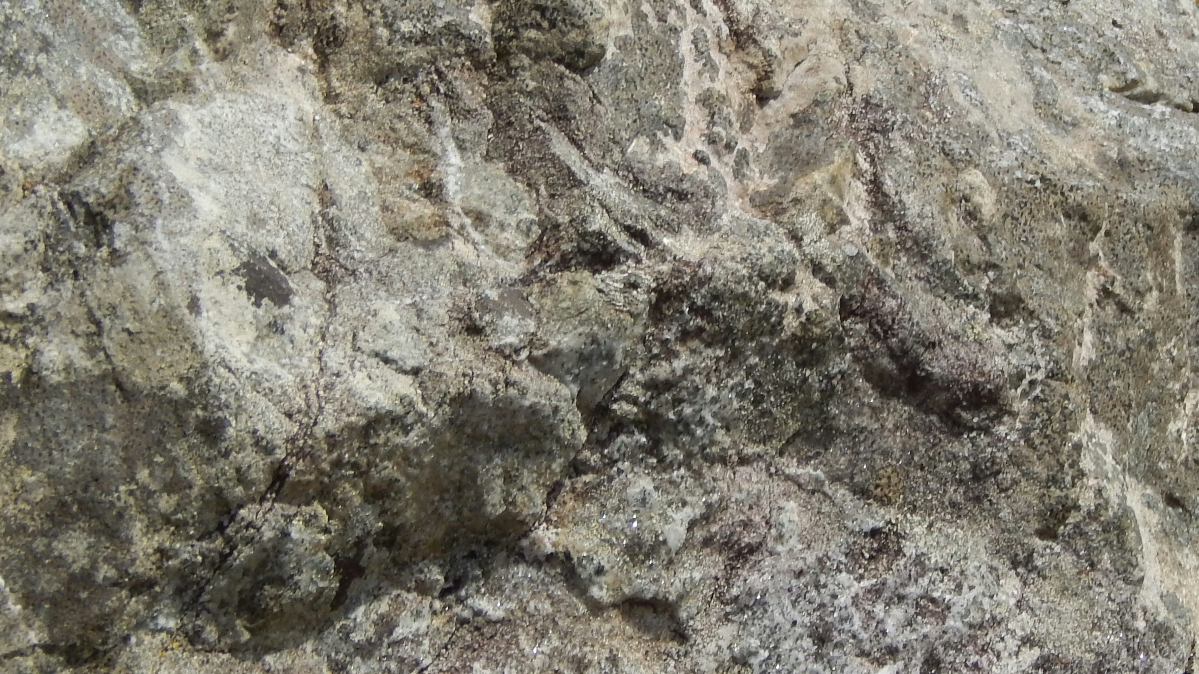 Photo by hullabaloo22