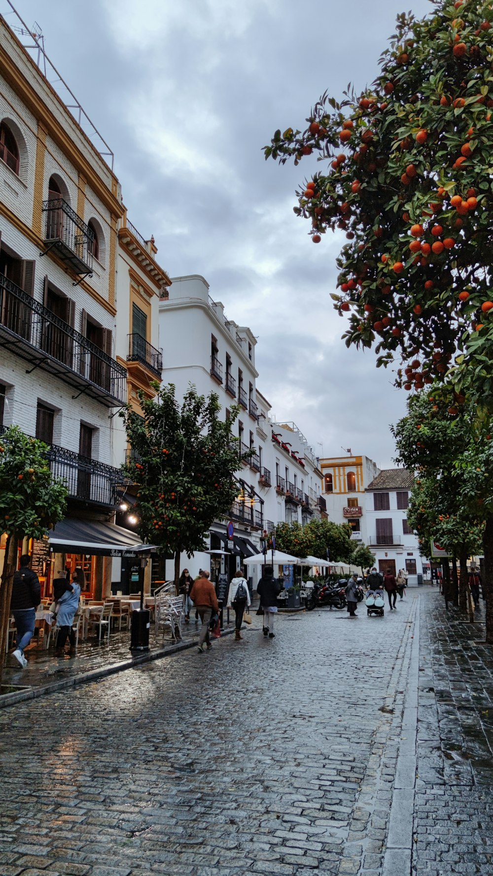 a cobblestone street lined with orange trees