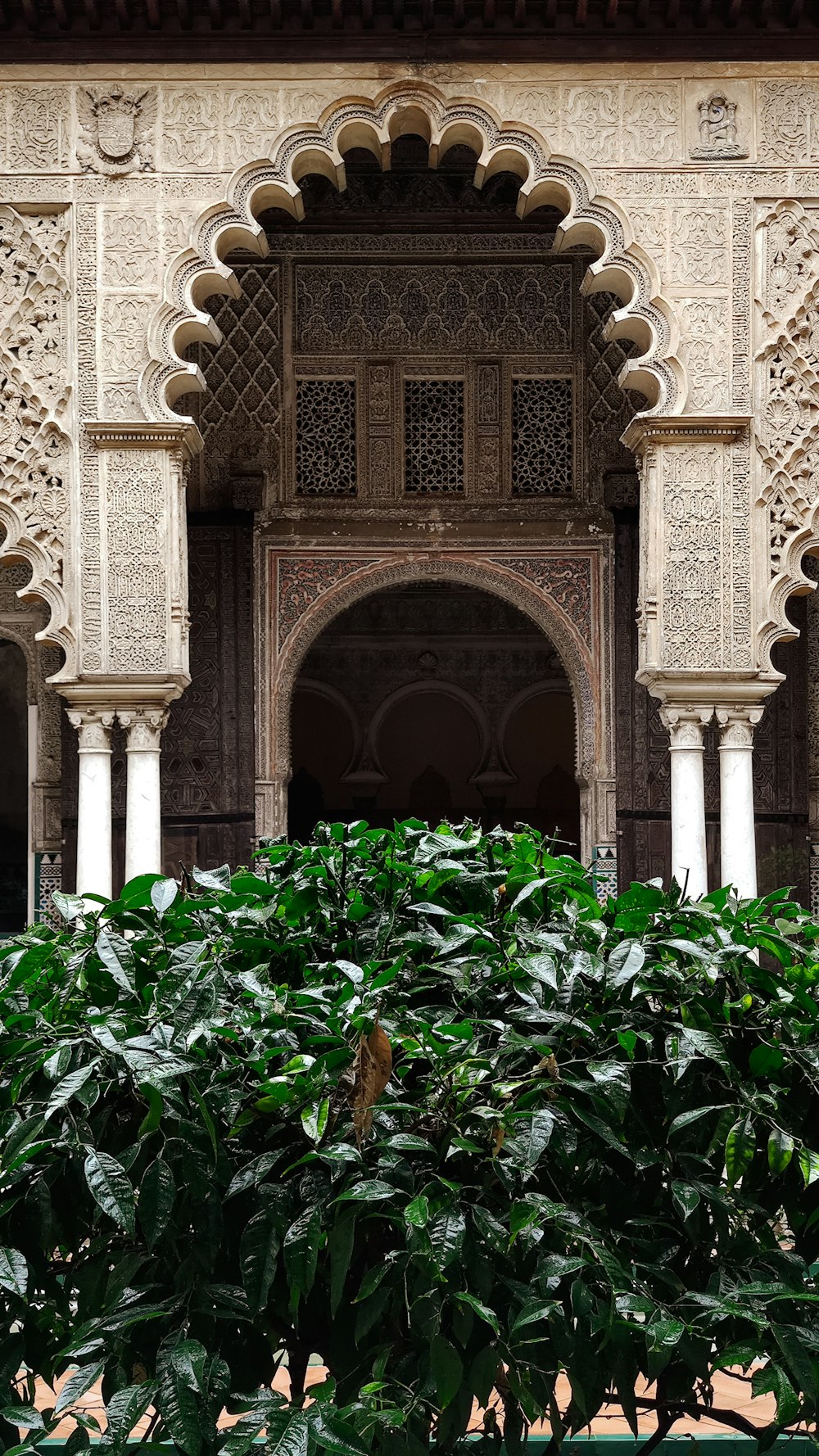 a building with a tree in front of it