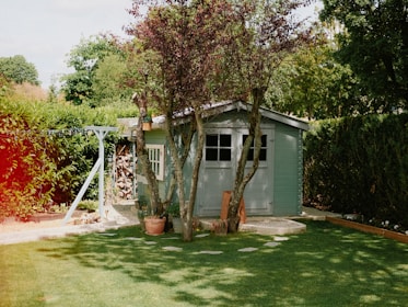 a small shed with a tree in the yard