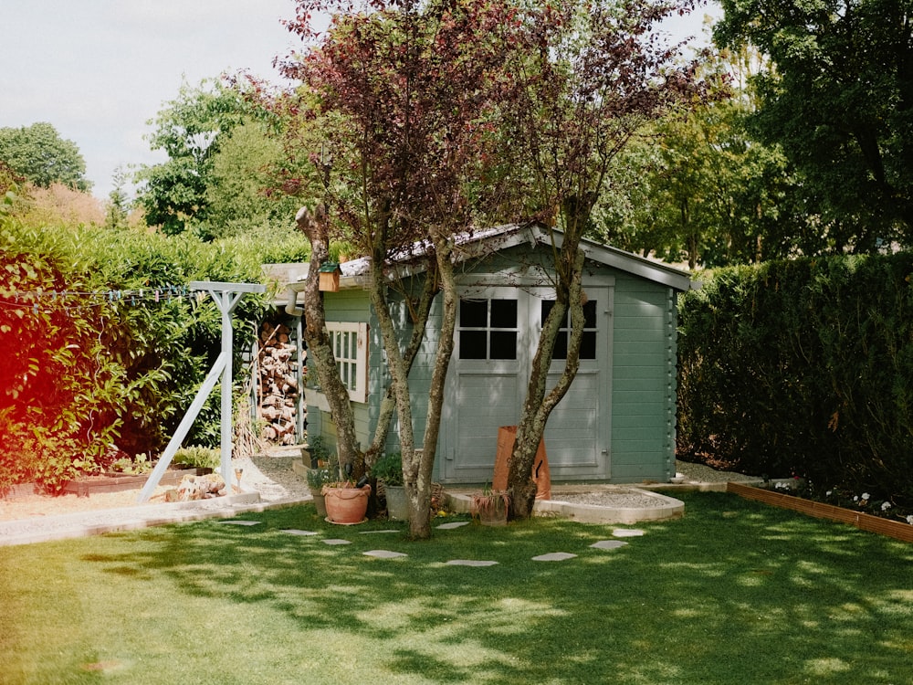 a small shed with a tree in the yard