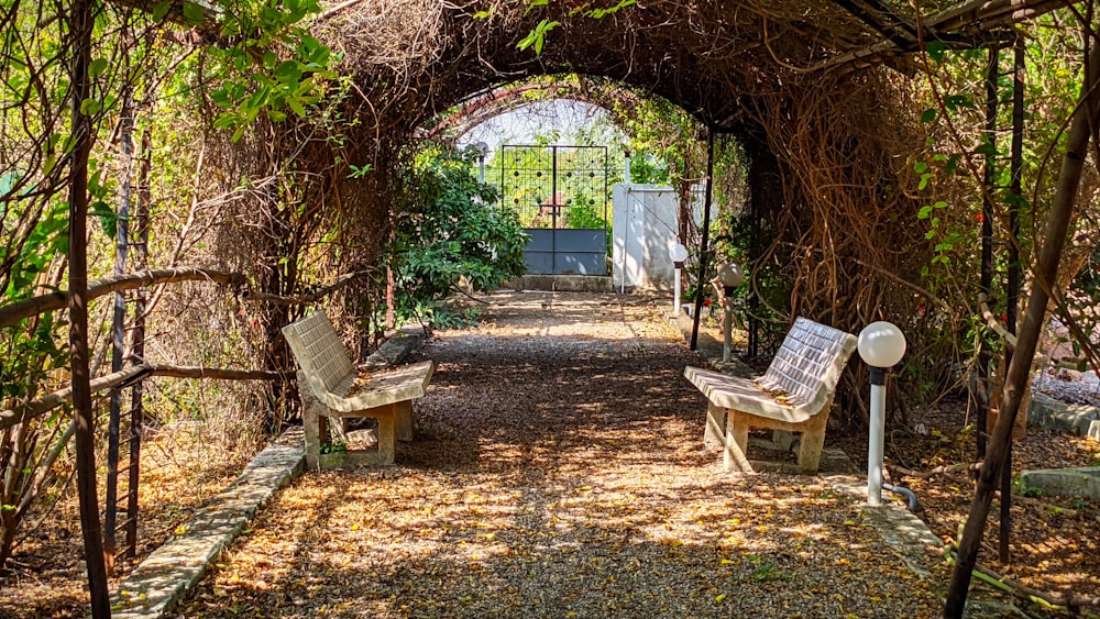 a couple of benches that are under a tree