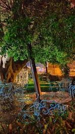 An outdoor setting with ornate blue metal chairs and tables arranged on a wooden deck. A large tree with lush green foliage and a trunk is dominant in the scene. Decorative lights hang from the tree, creating a warm ambiance. The background shows blurred lights from a building or structure, contributing to a cozy atmosphere.