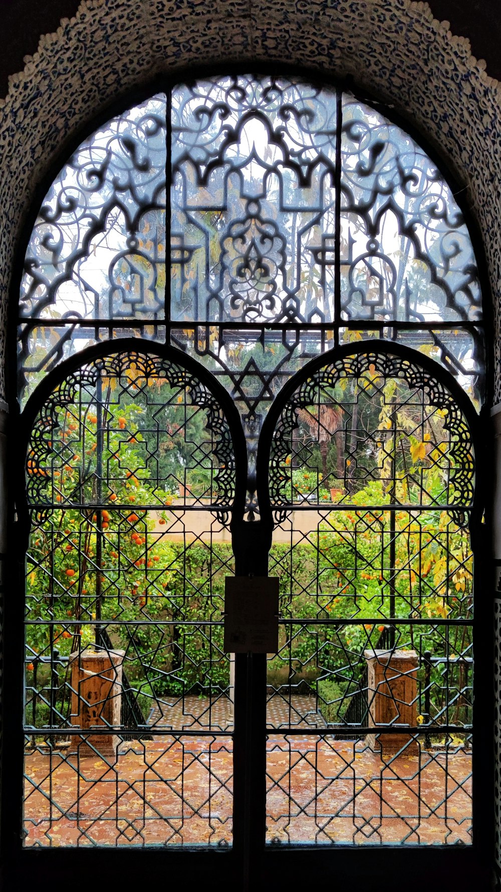 a view of a garden through a window