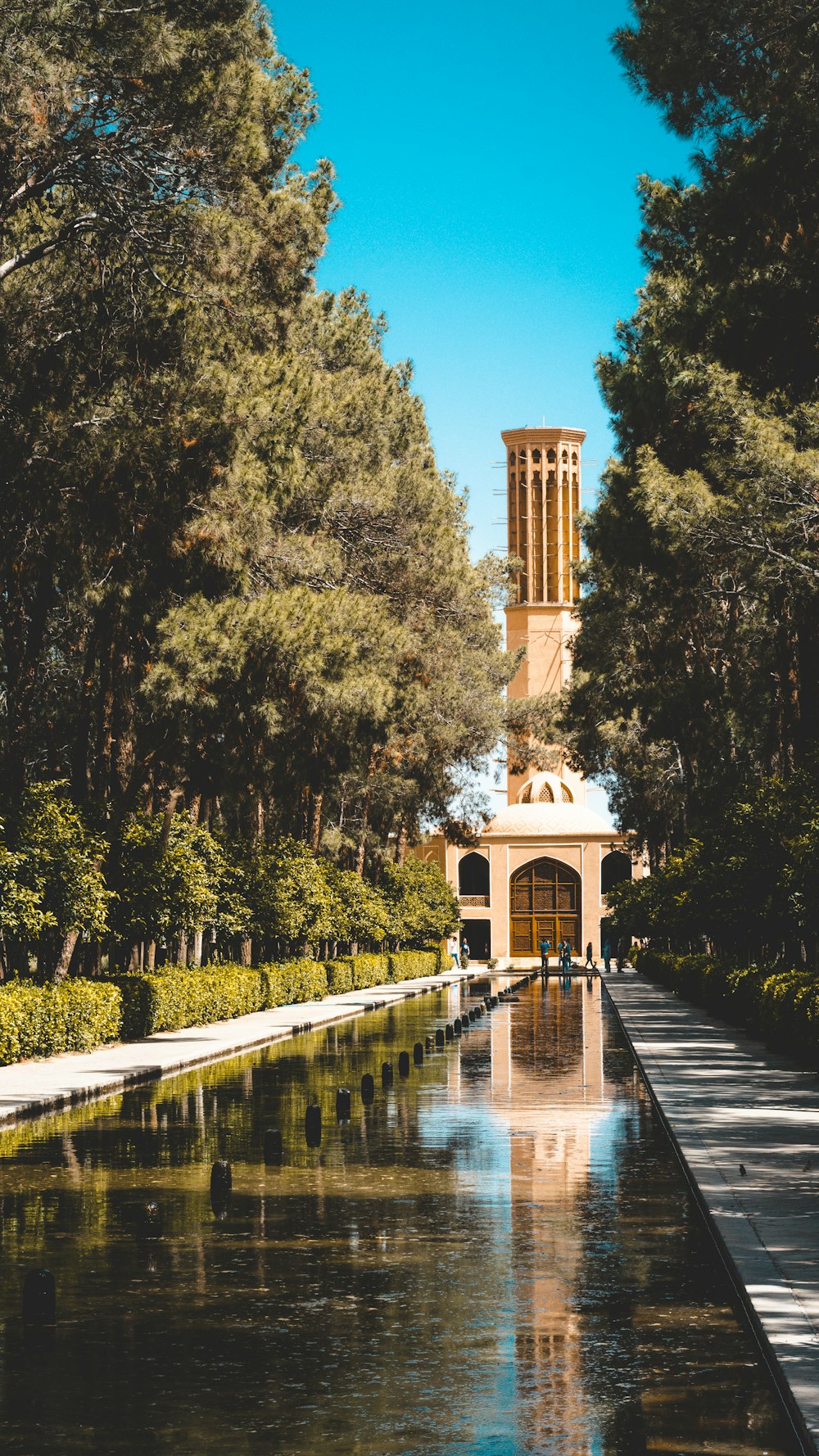 a clock tower towering over a river in a park