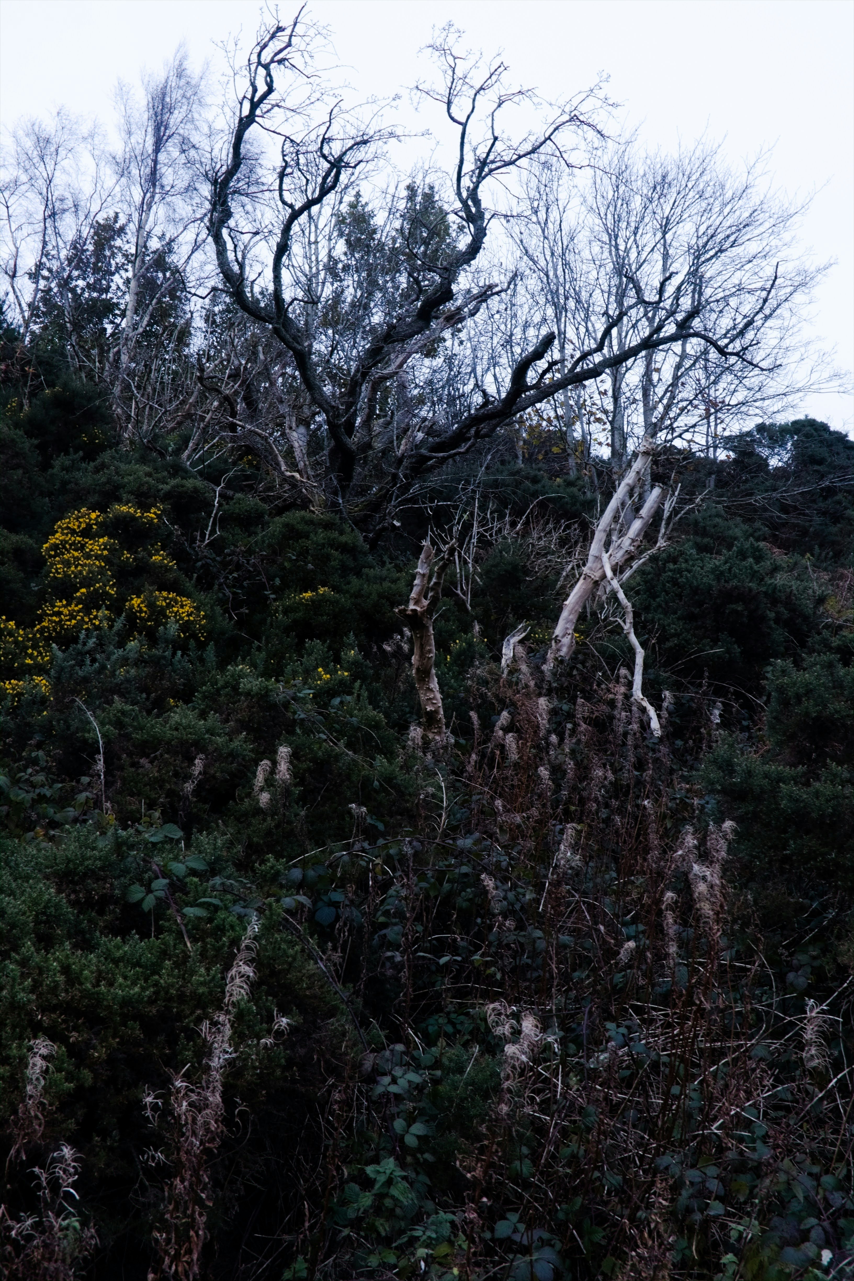 Photo by zaralazarov