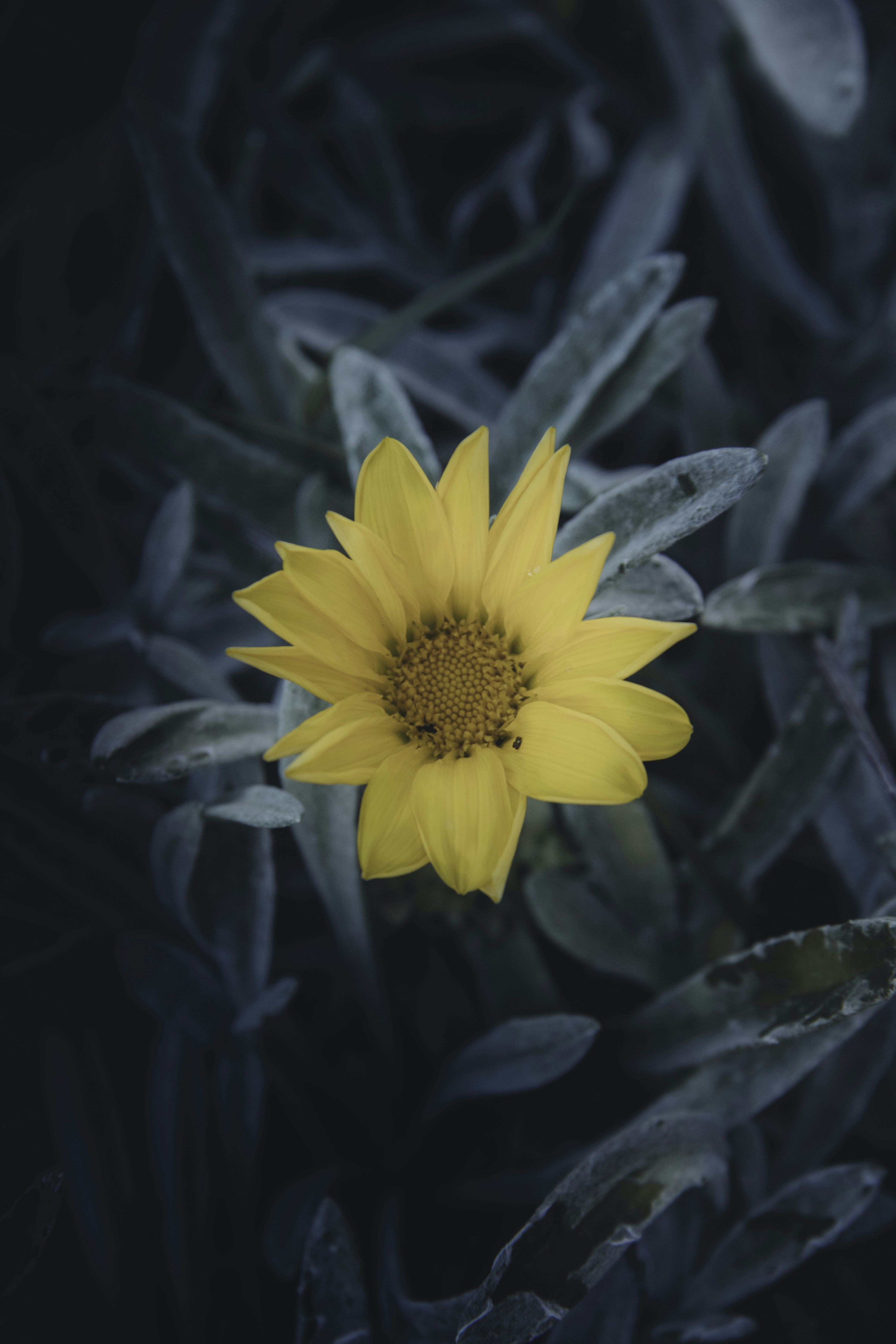 Photo by reinaldogaranito