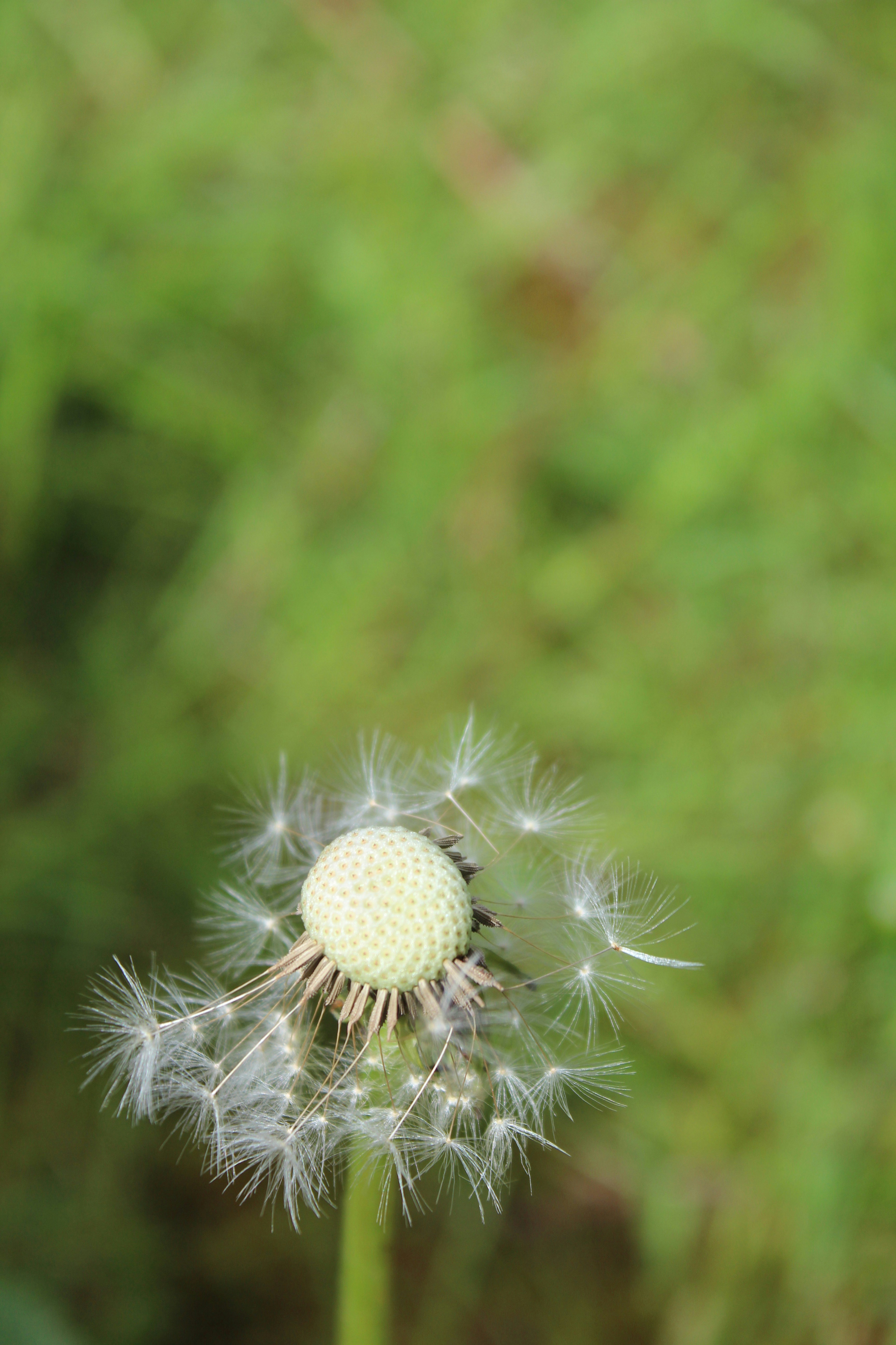 Photo by nicoladesign