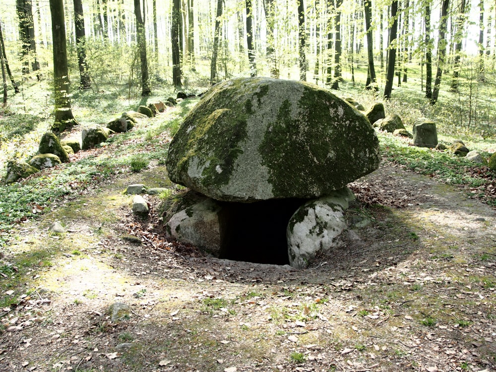 a large rock sitting in the middle of a forest