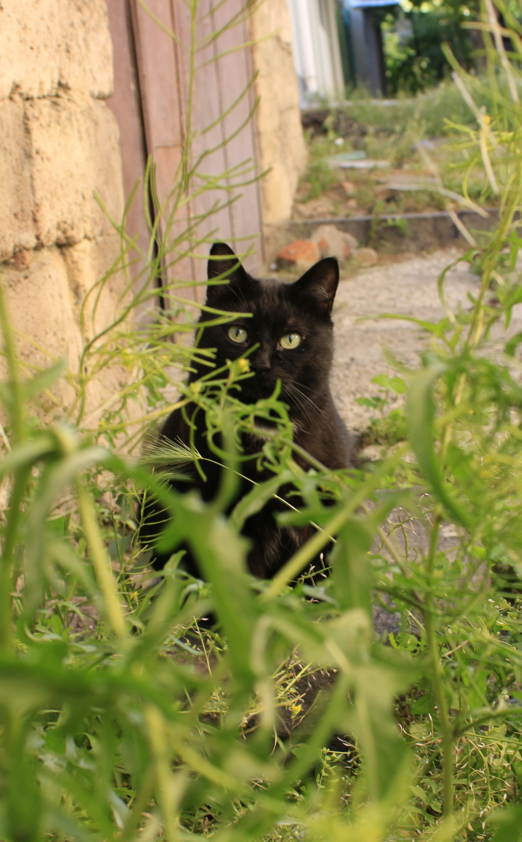 Photo by fatemehmousaviany