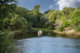 a body of water surrounded by trees and grass
