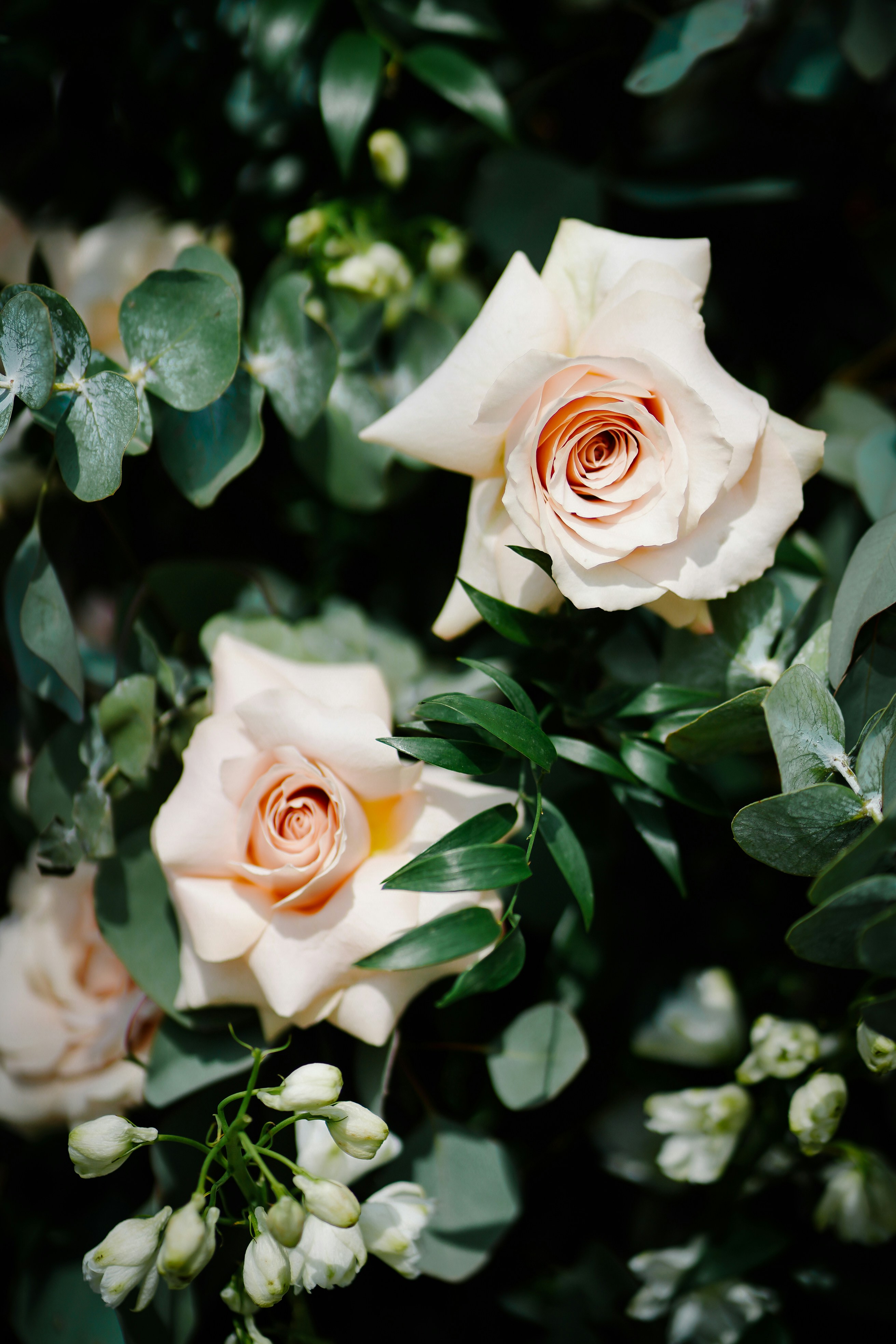 Photo by evphotography