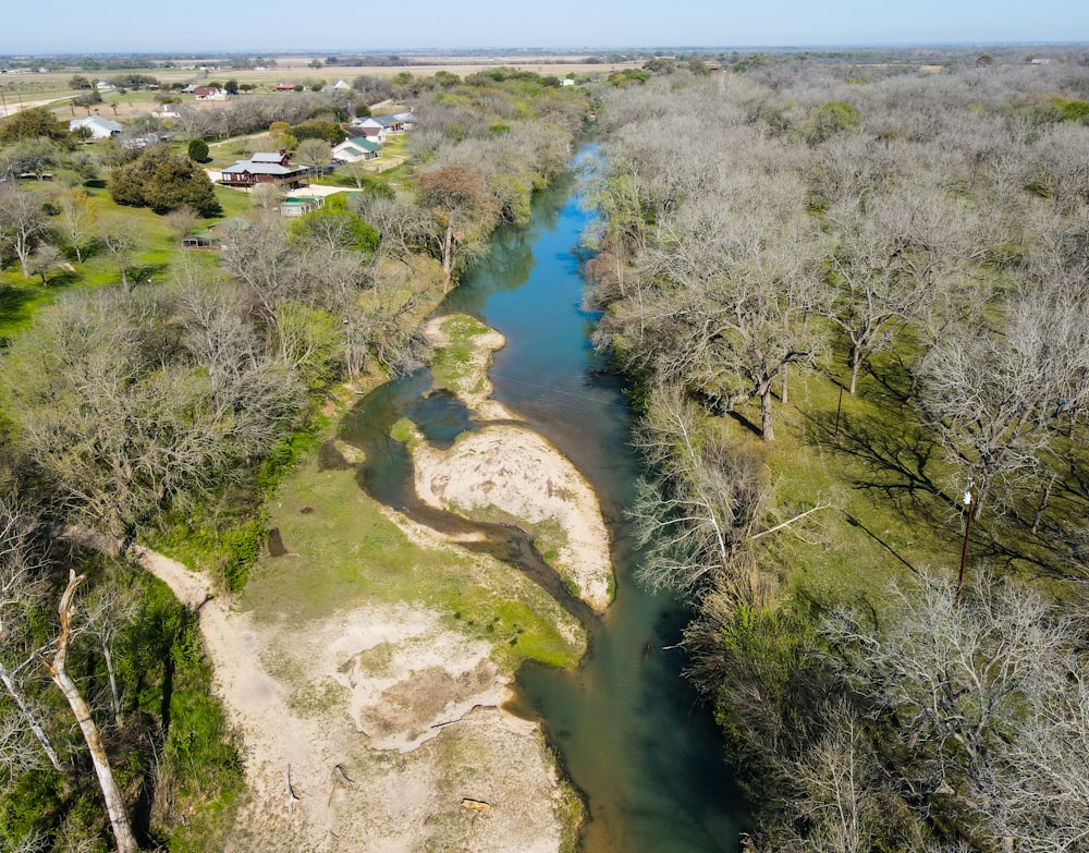 a river running through a lush green forest