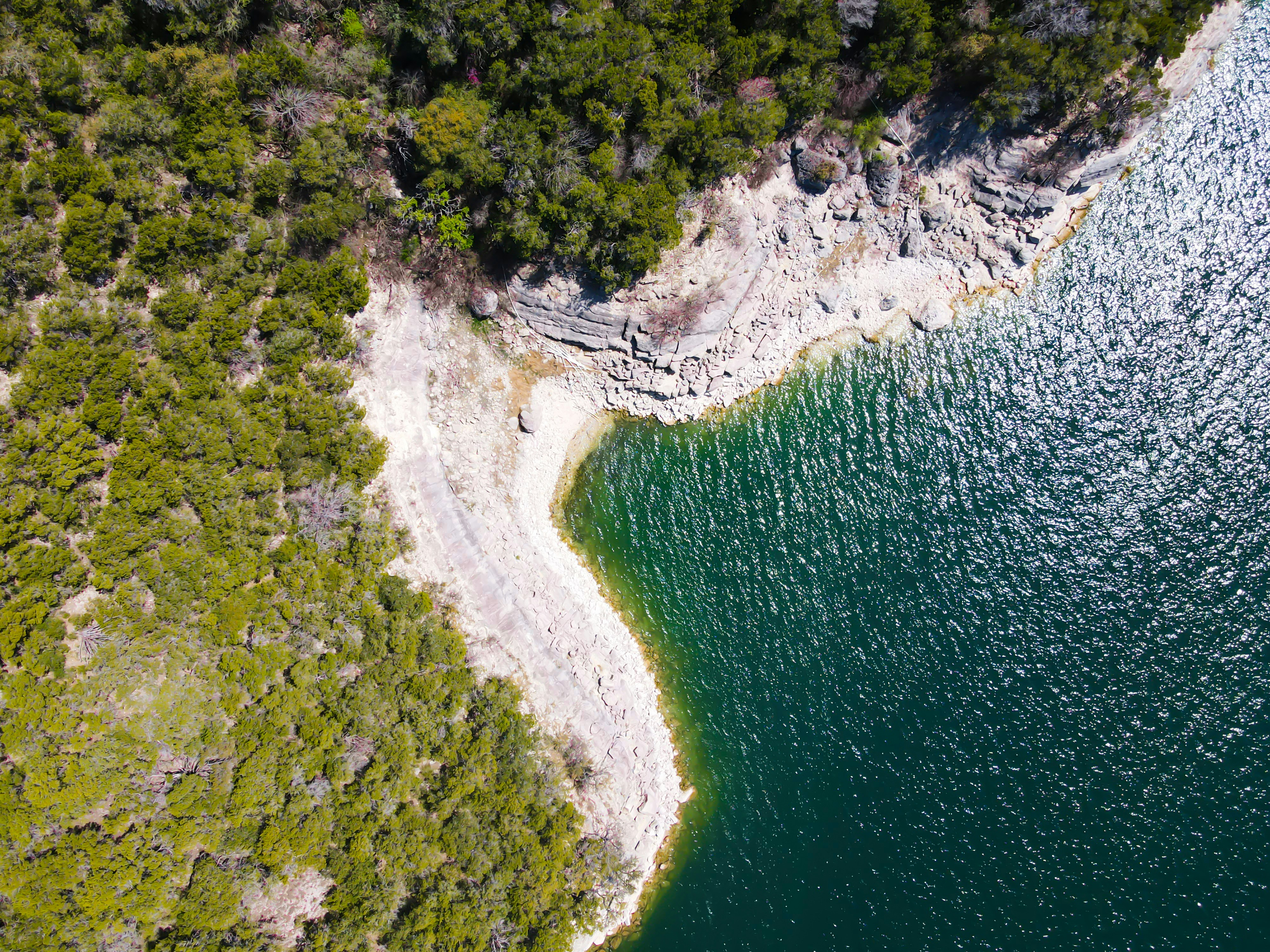 Aerial view of body of water surrounded by trees