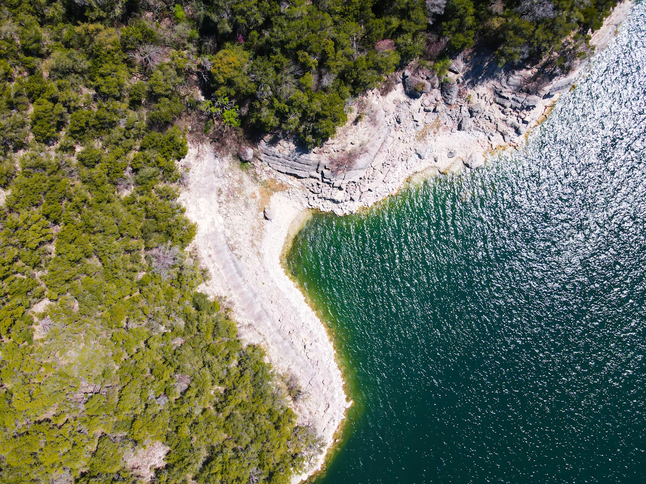 Aerial view of a body of water surrounded by trees