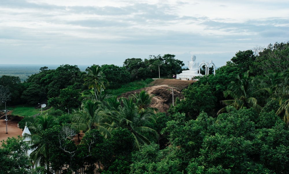 a view of a lush green forest with a hill in the background